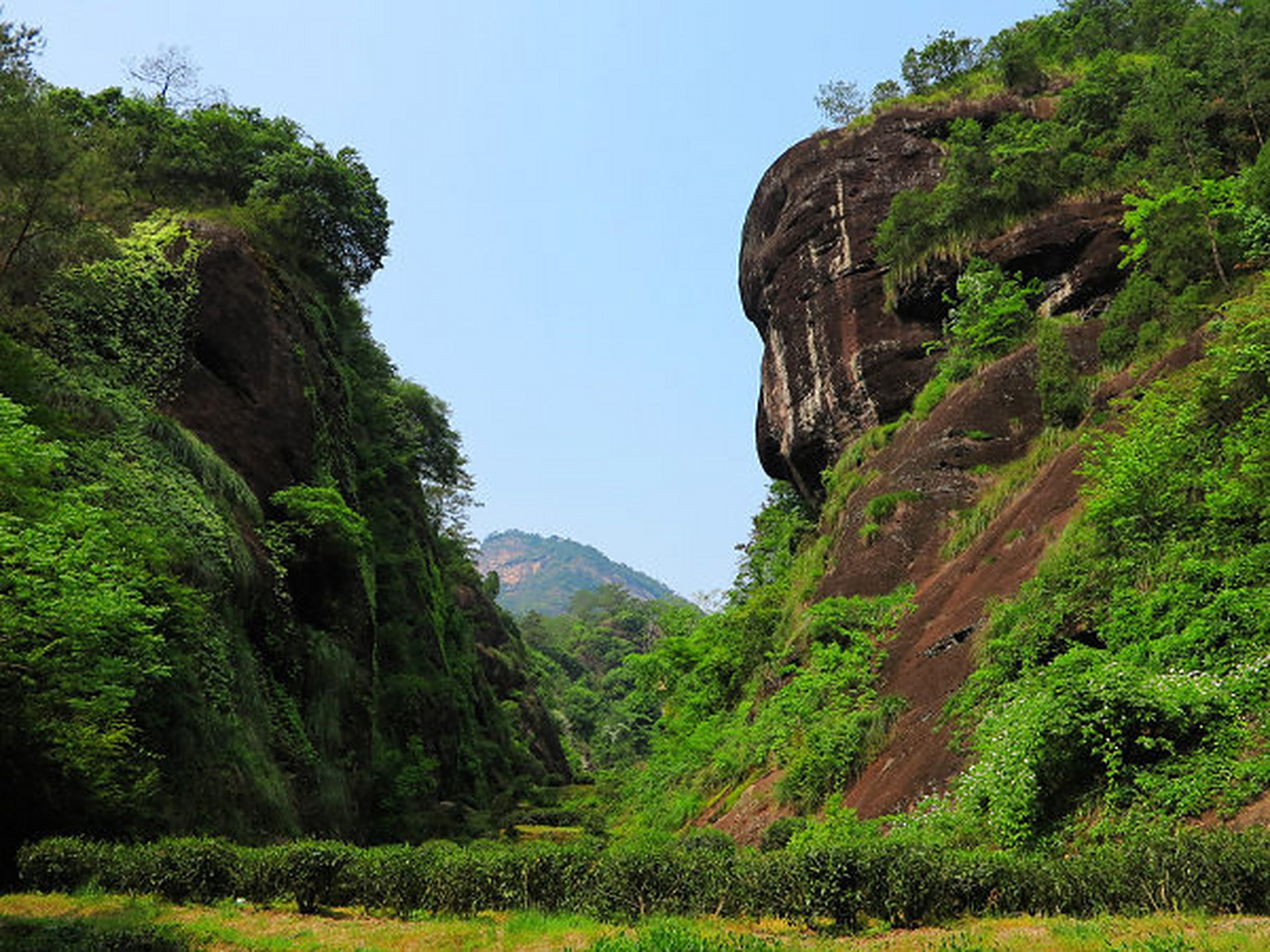 武夷山著名山场着实不少,诸如大家所熟知的"三坑两涧"(牛栏坑,大坑口