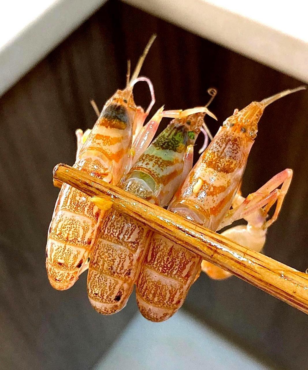 我非常喜欢这种味道鲜美的跳跳虾.