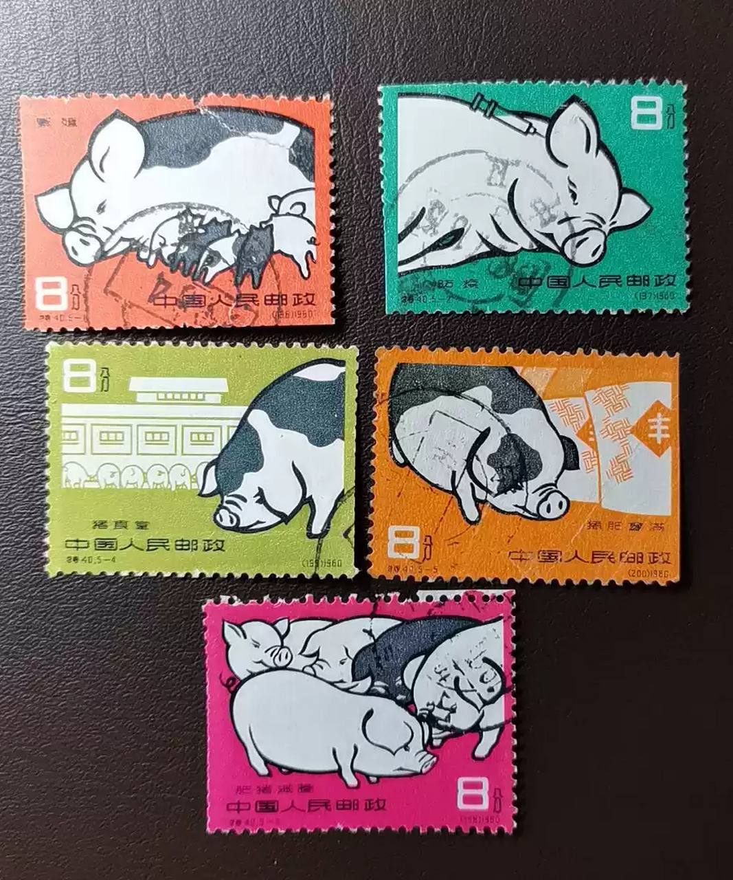 特40邮票 养猪,信销 面新无薄 均有剪齿 一张开裂