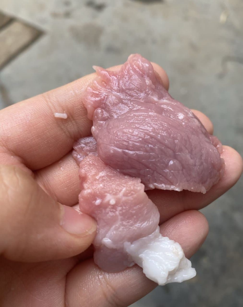 万能的熨斗帮我看看这猪肉有没有问题,肉里全是白色颗粒.[汗]