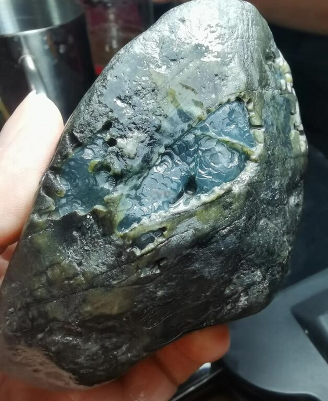 翡翠原石##点击头像看直播# 莫湾基开窗料,戒面级,几颗小鸽子蛋稳了
