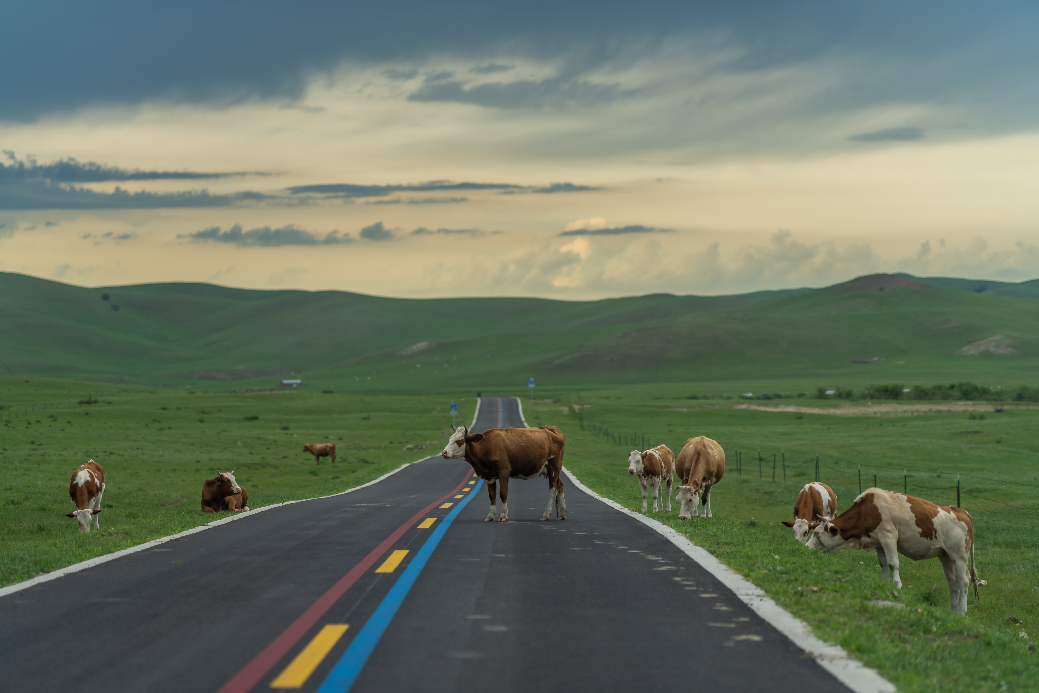 不要进入西草原天路草原公路天路草原99号公路图片内蒙古草原的图片
