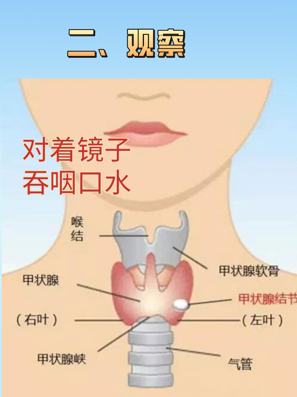 甲状腺结节自查-你的甲状腺还好吗?