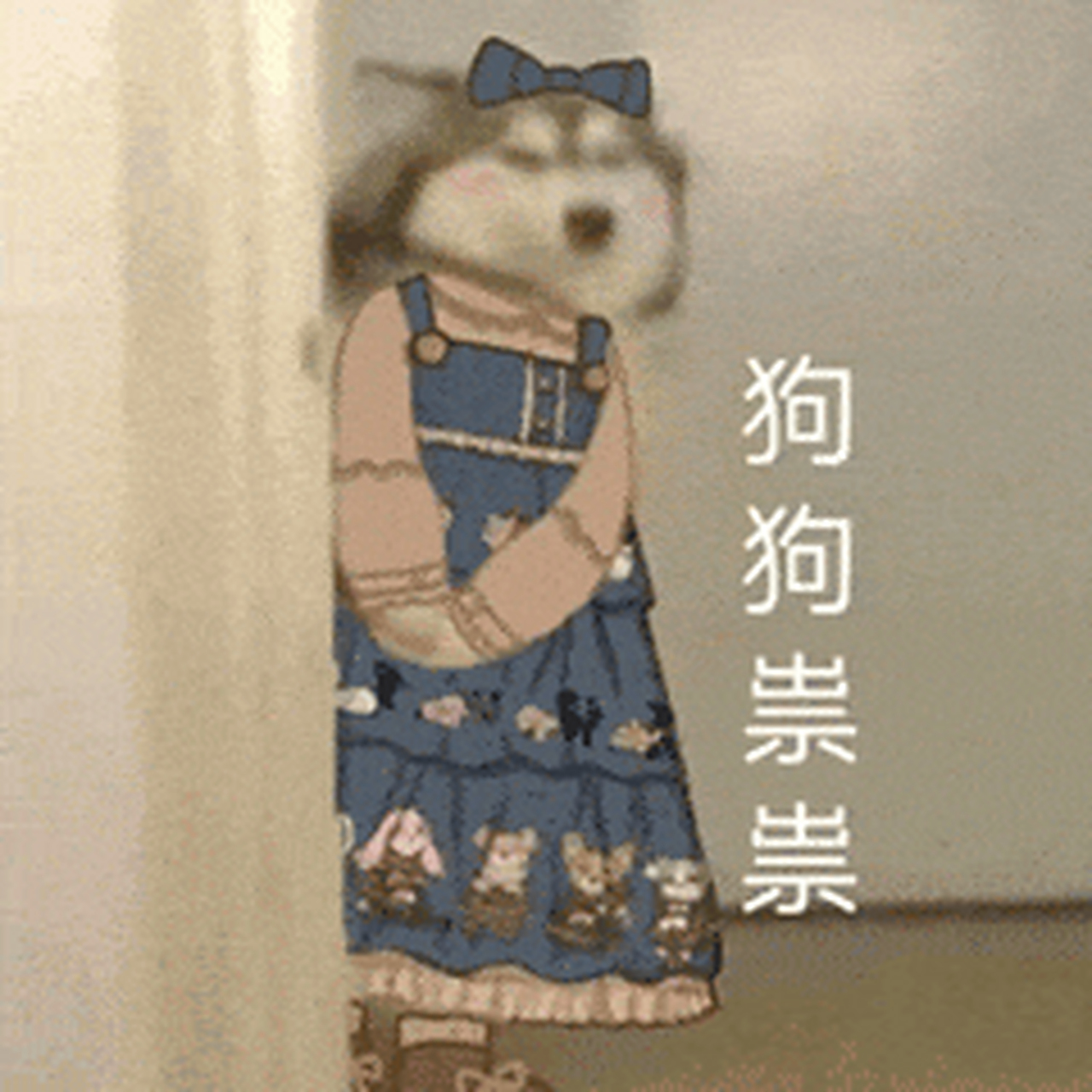 狗狗祟祟表情包(奇迹暖暖变装版)