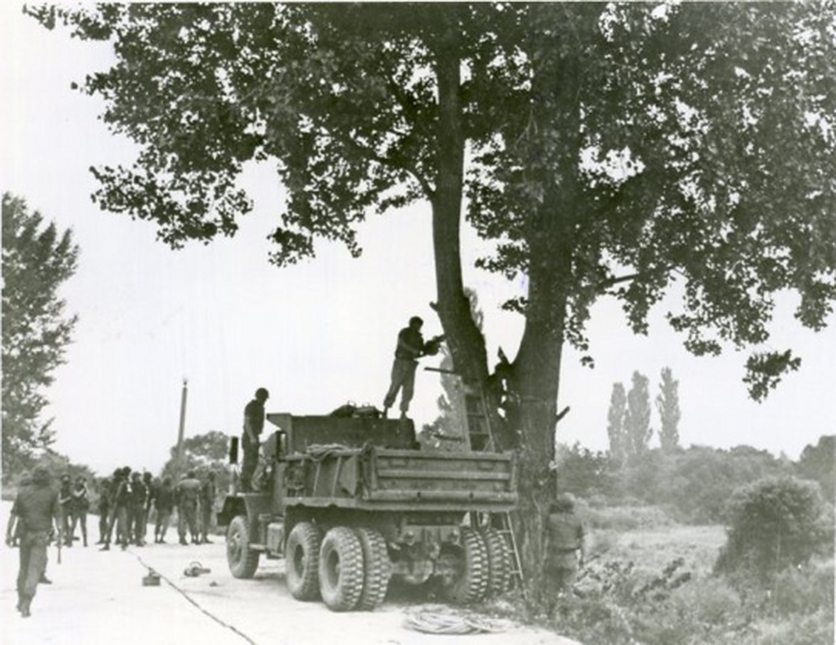 1976年著名板门店砍树事件,美军死伤两人,砍树事件发生后,美军决定