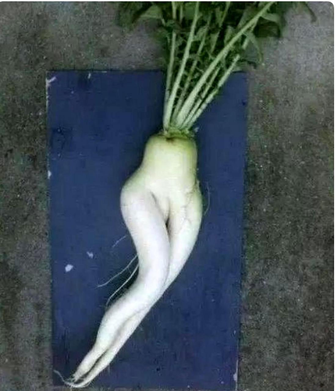 这是一个人形的萝卜.