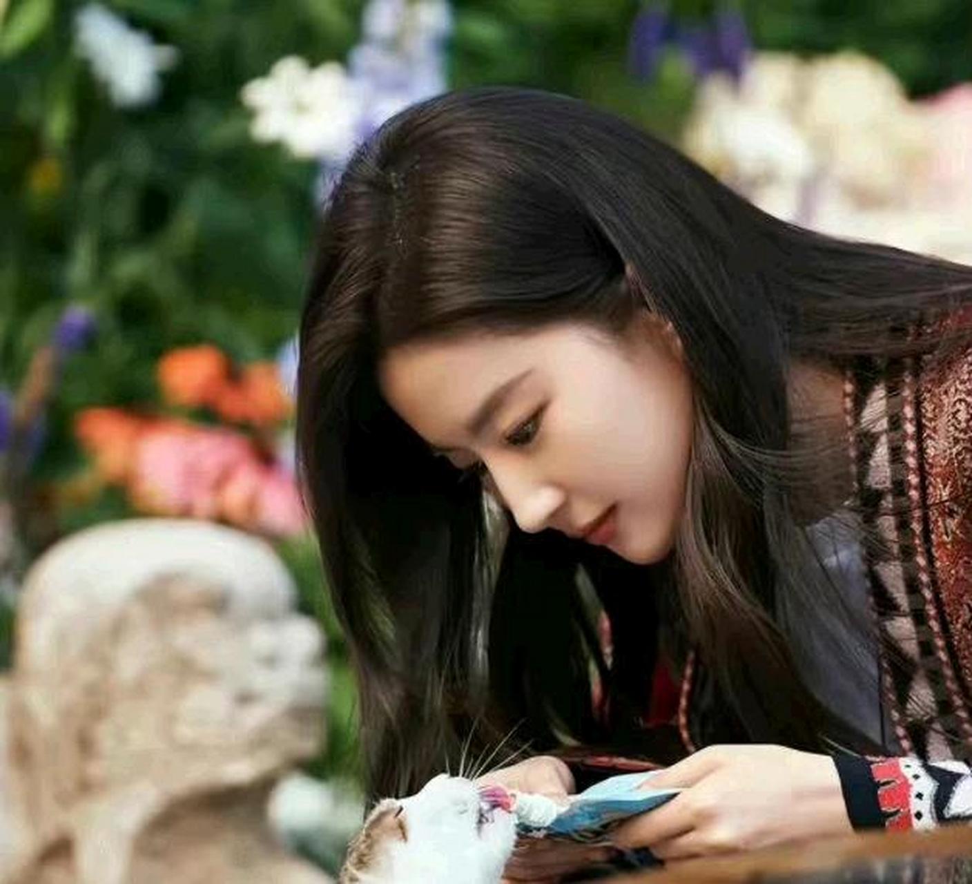 netizen:missfairyissocuteandcharmingevenfeedingcats#星球生图大奖