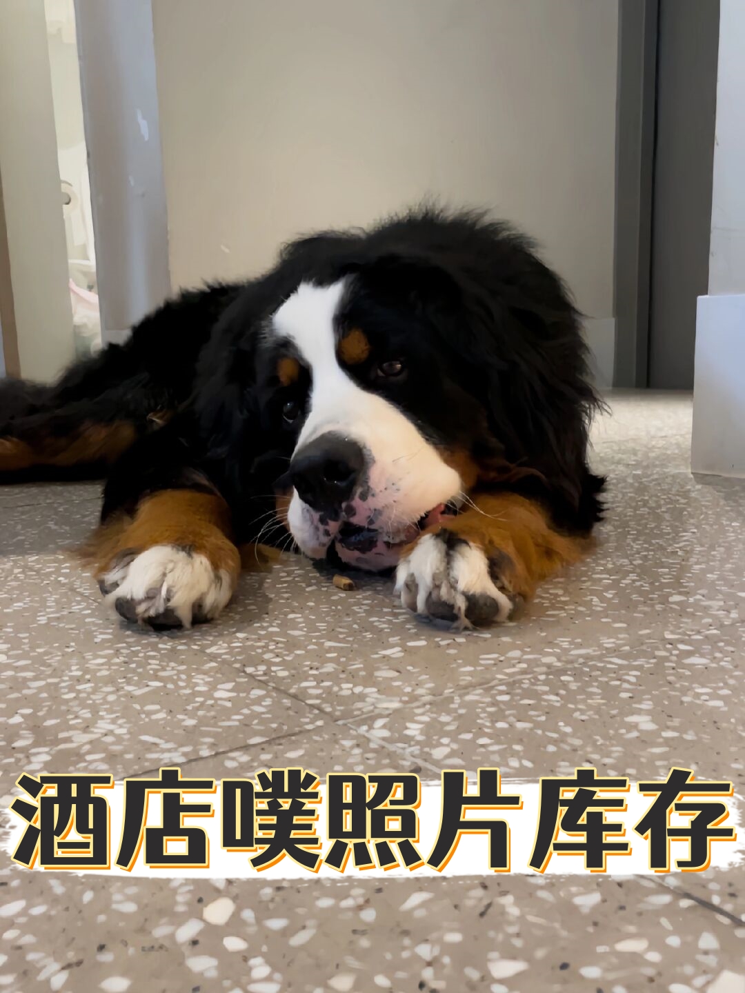 酒店噗照片库存