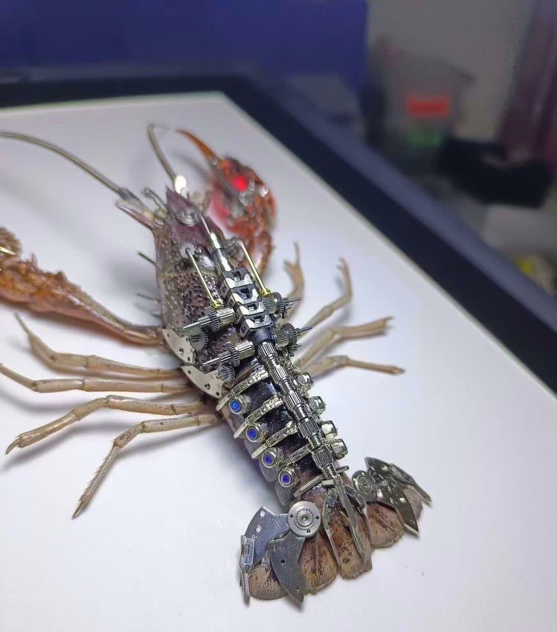 网友的机械小龙虾.[偷笑][三哈][笑哭]