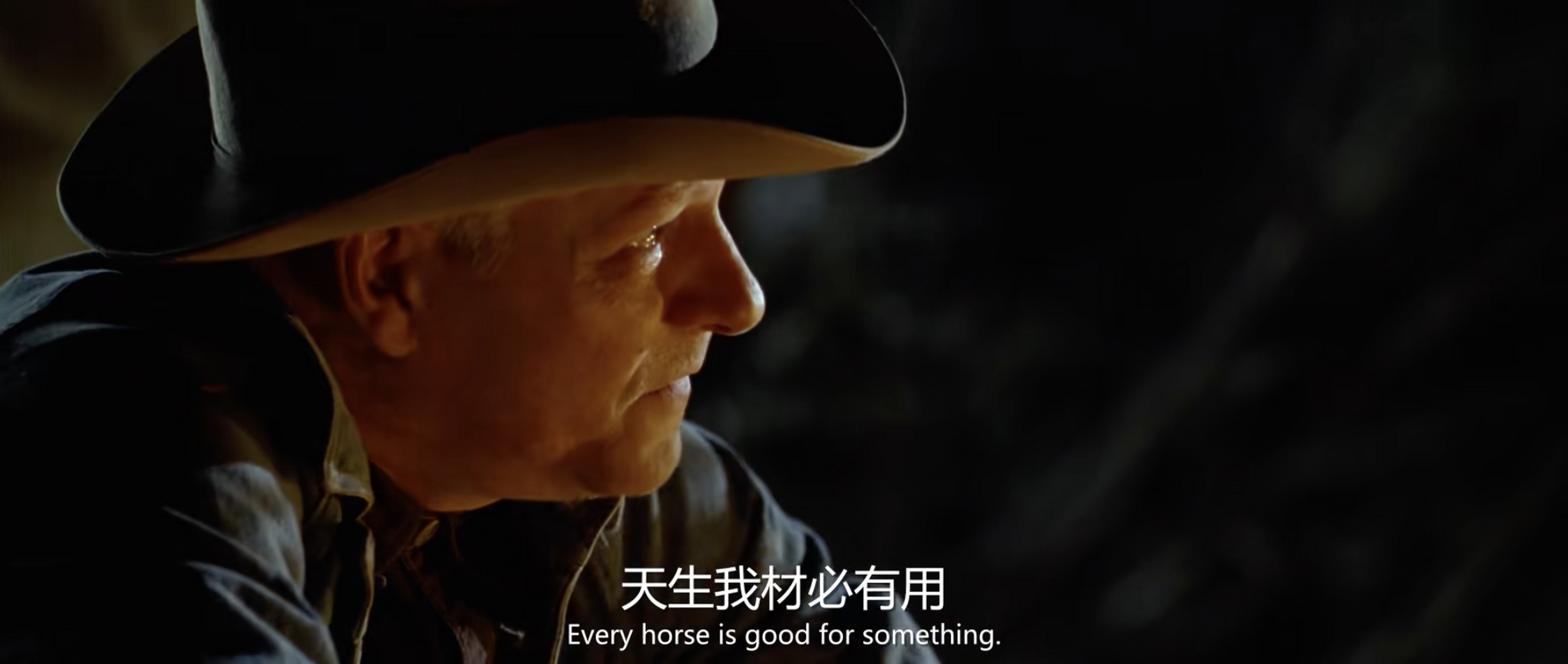 《奔腾年代》,一部低落情绪时就想起重温的影片.