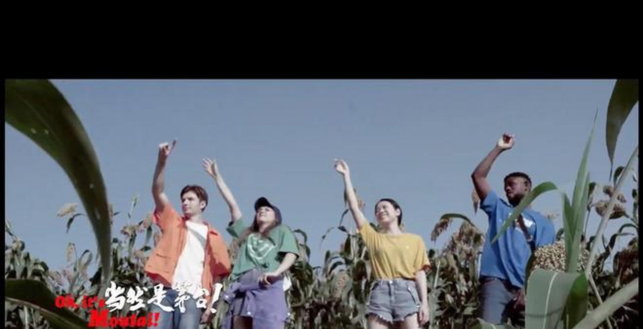 茅台宣传片用黑人配国女,国男不配露面,折射出怎样的文化心态?