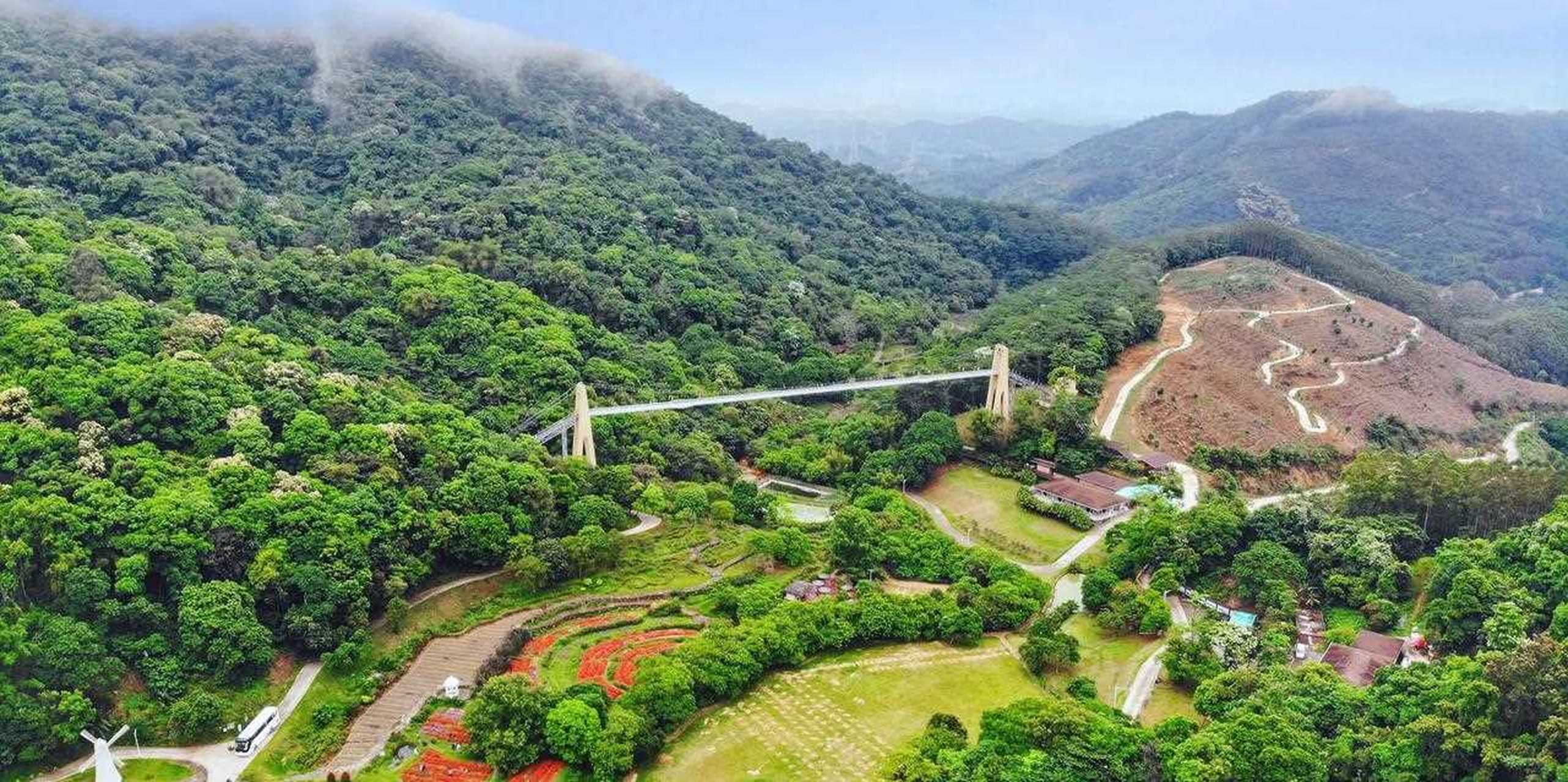 原以为错过了,就无花可看了,来到广州二龙山花园才发现,油桐花开尚早