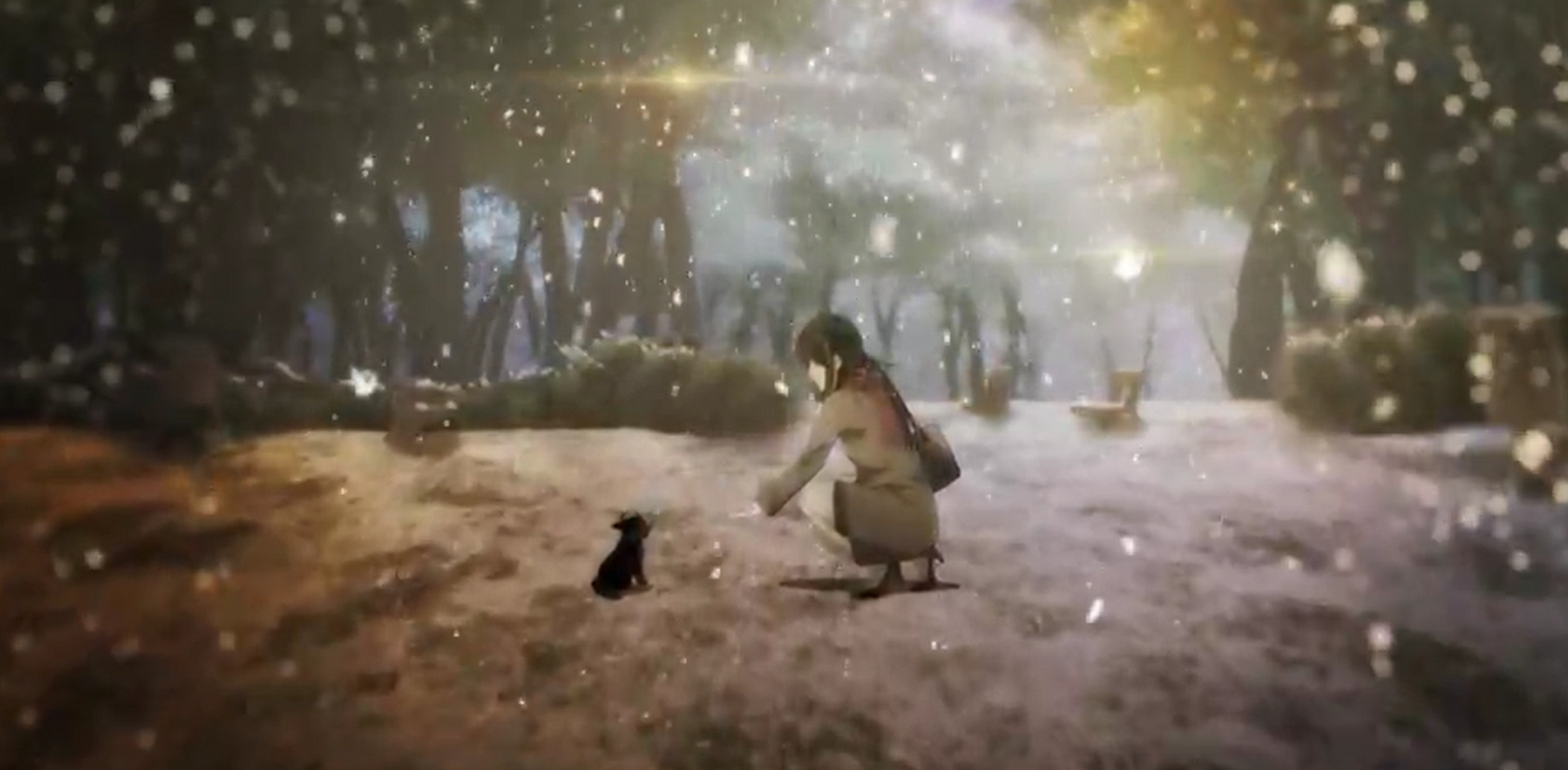 动漫# #二次元# 在濒死时被捡到并且精通各种家务的宠物,以及业务