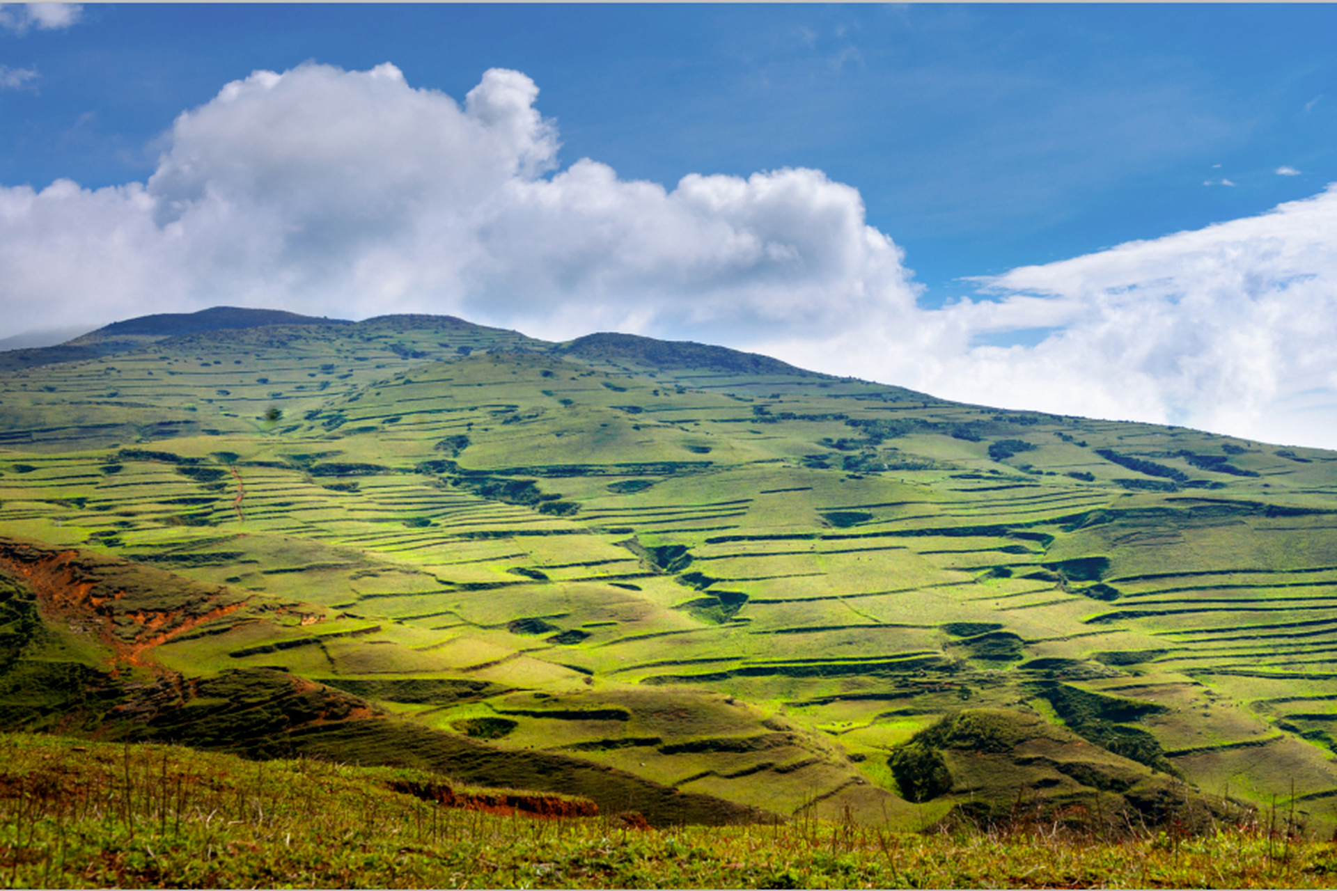 著名的探险家,地质学家杨勇发现了位于:金阳县百草坡镇高峰中心村海拔