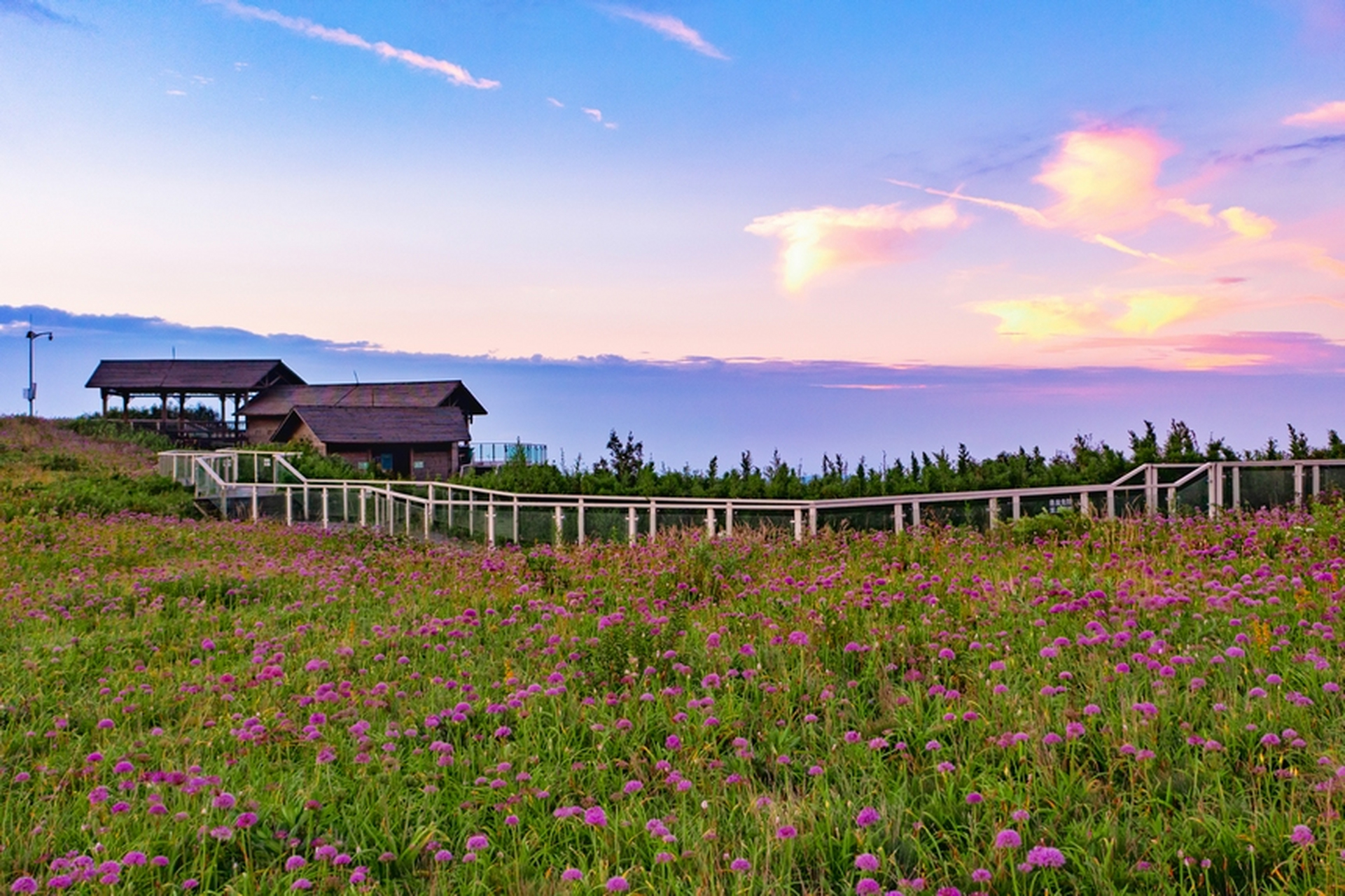 贵州韭菜坪风景图片