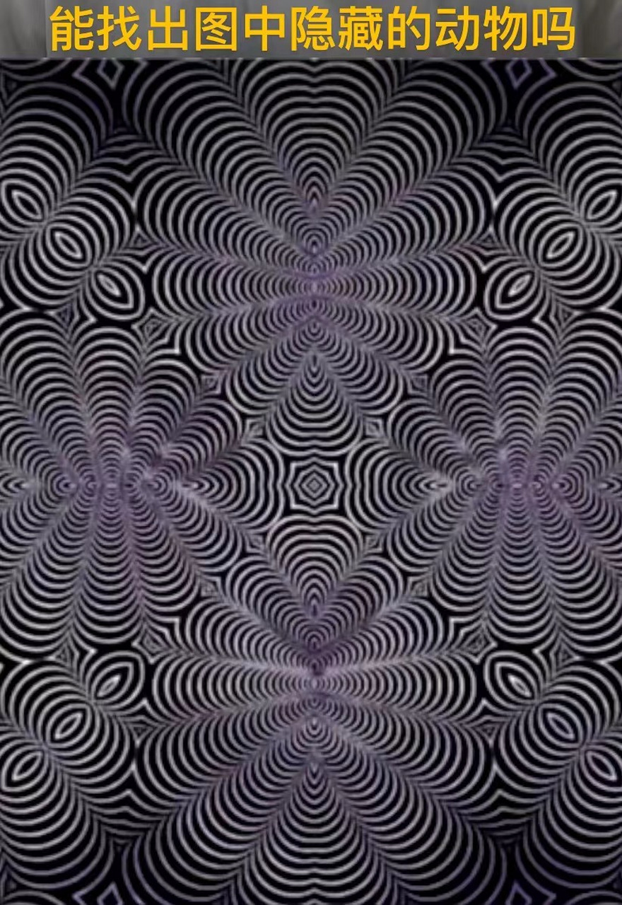 听说能在十秒钟找到图中隐藏的动物都是高智商群体,请问你可以吗?