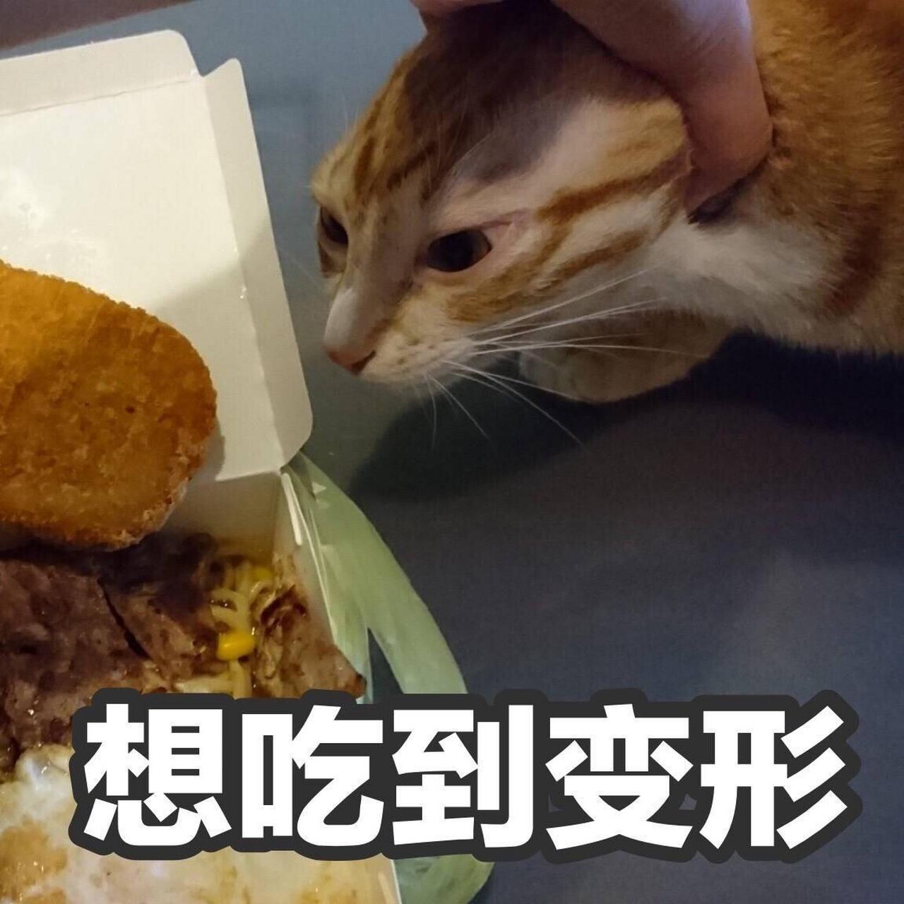 来分享那些吃成表情包的猫咪