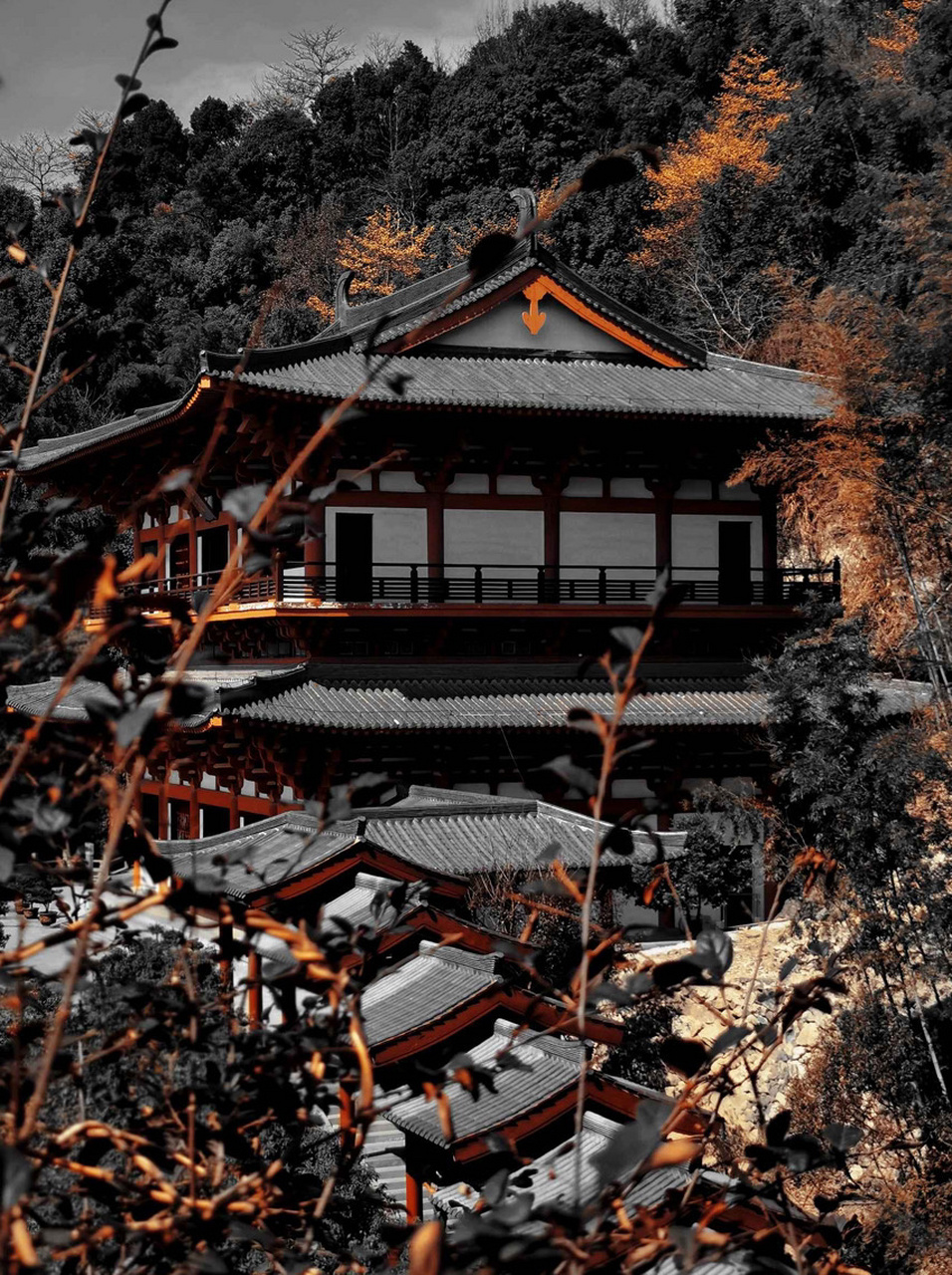 千年古建筑的艺术化哲学:唐韵美学的跨越  宁波香山教寺是一座历史