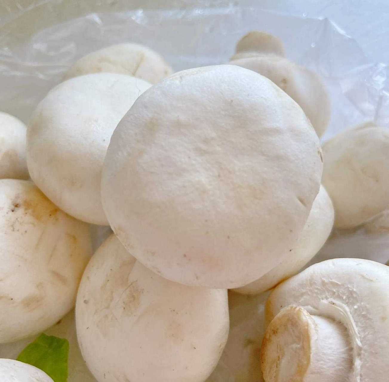 真的很喜欢菌类食品,特别是这白白胖胖的圆蘑菇,也叫口蘑,脆爽的口感