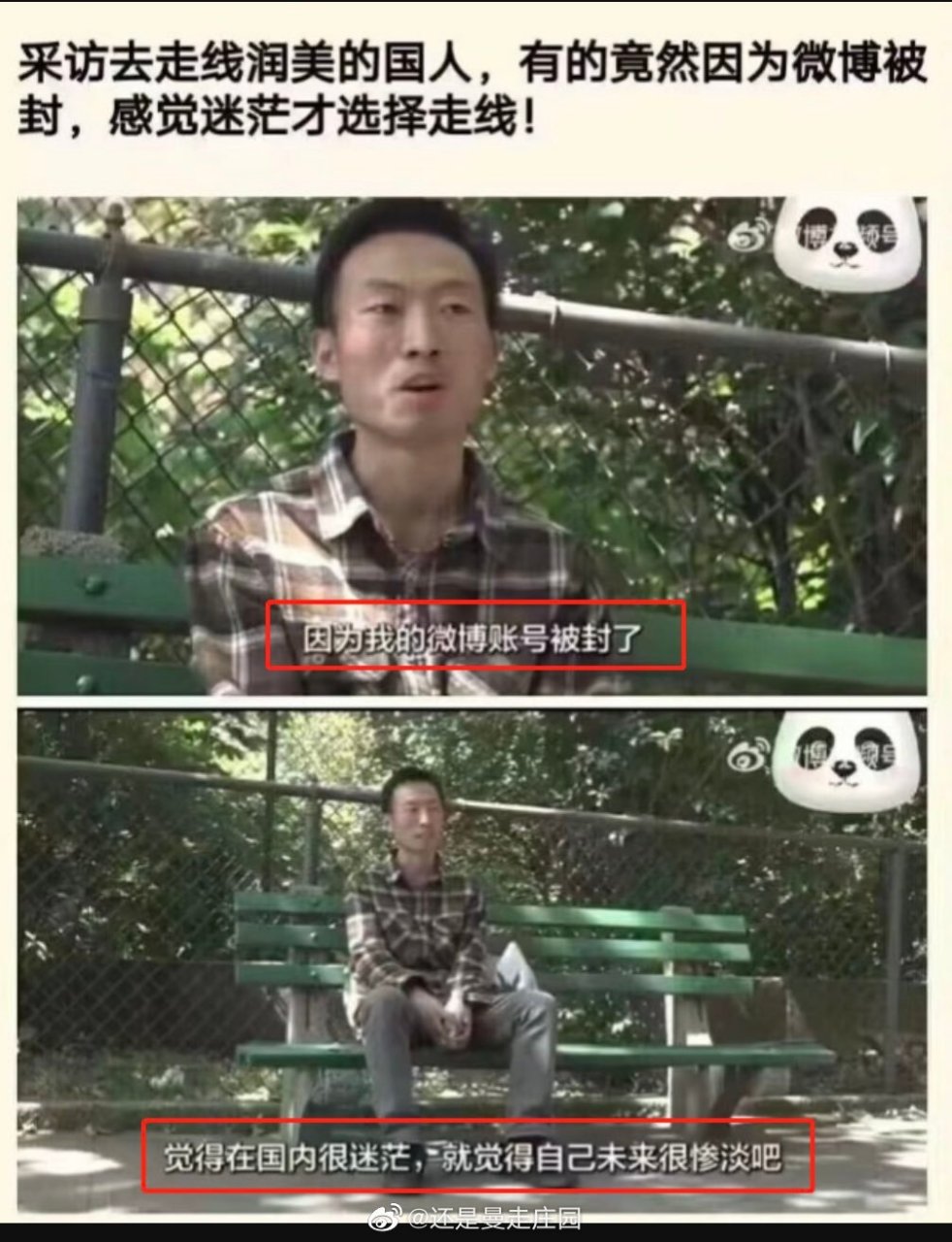 祖国反黑站润人的走线理由.这要是蓝鸟又被封了怎么办?