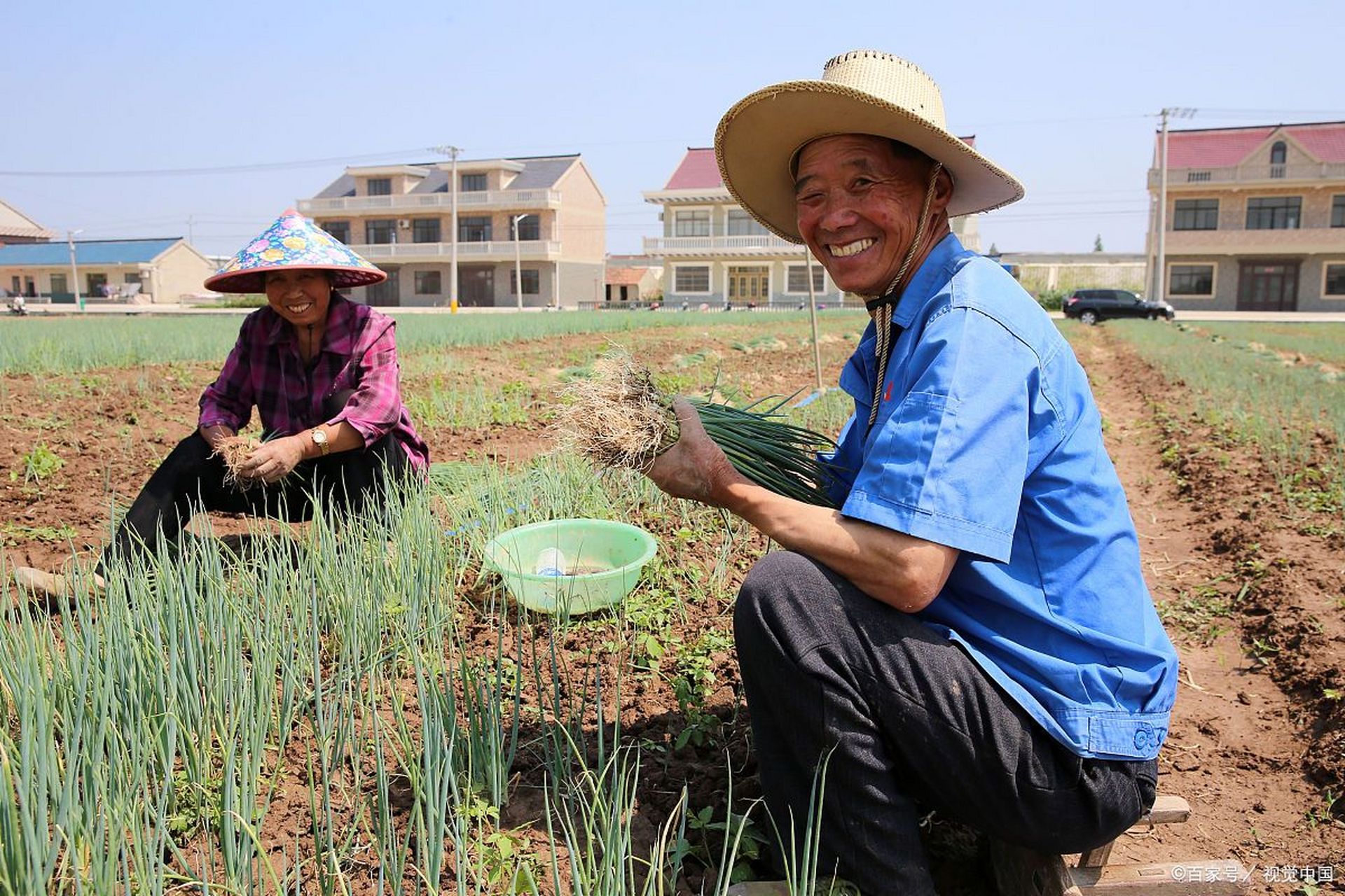 "哈怂"是什么意思?