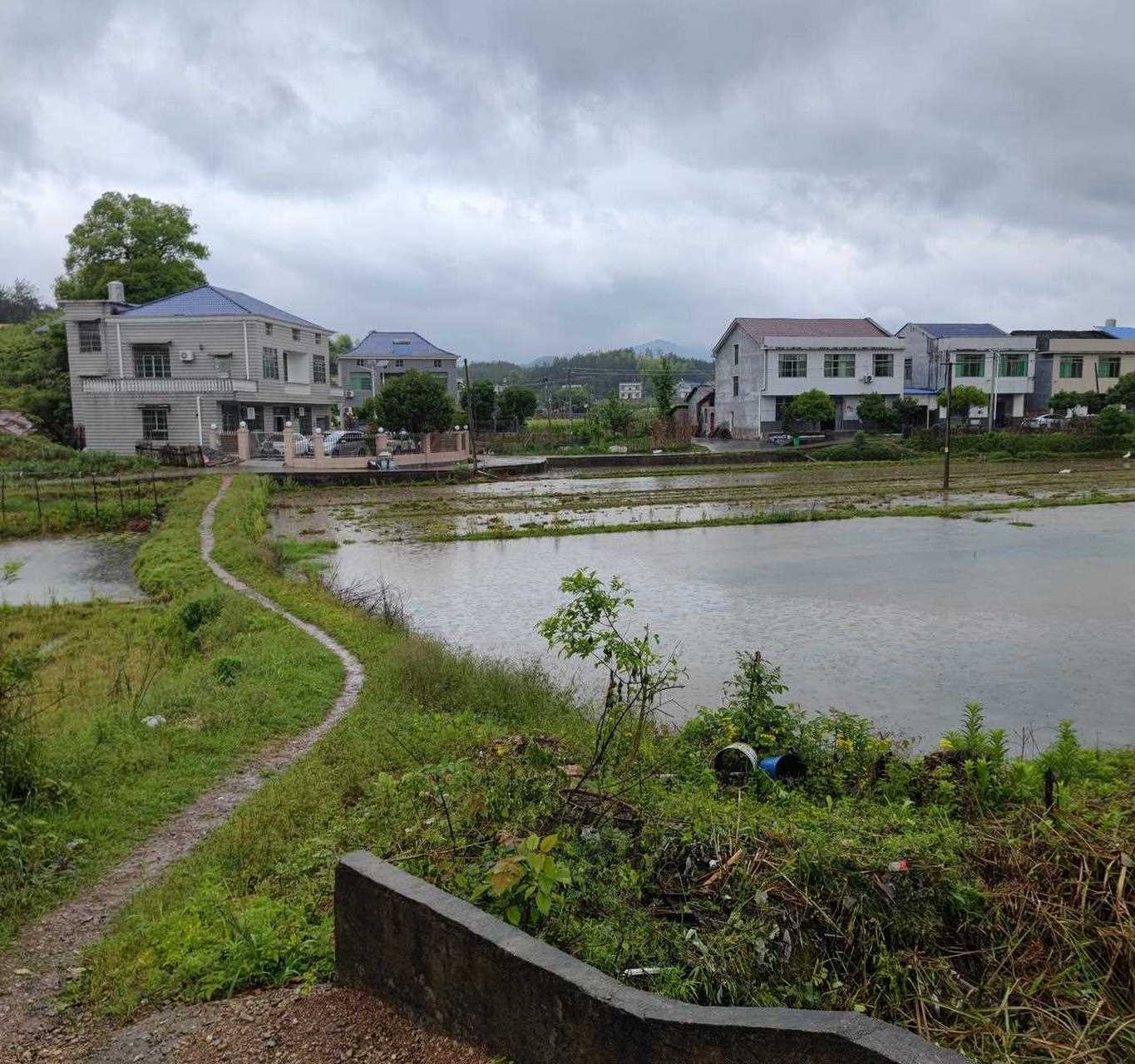 浏阳市龙伏镇石柱峰村图片