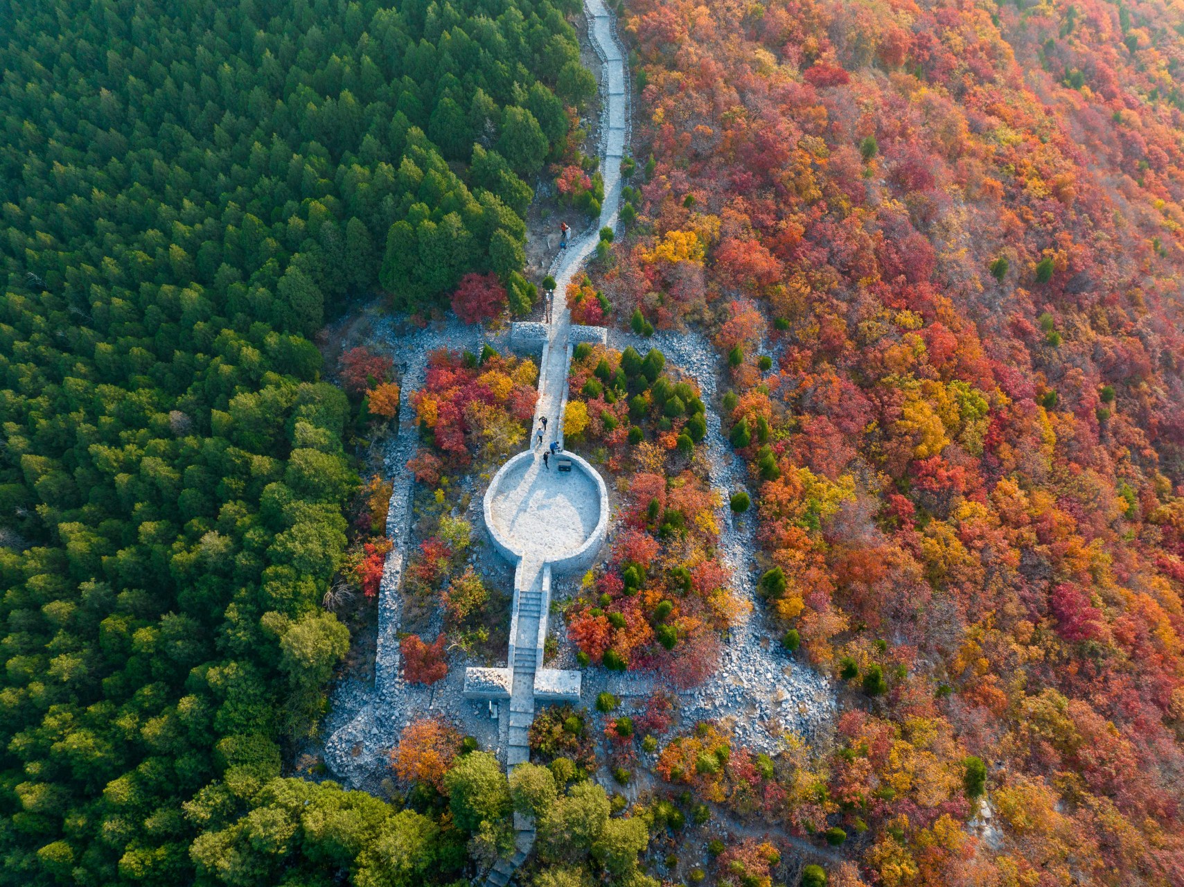济南蝎子山到蚰蜒山赏红叶路线,市民不出市区就可以欣赏漫山秋色.
