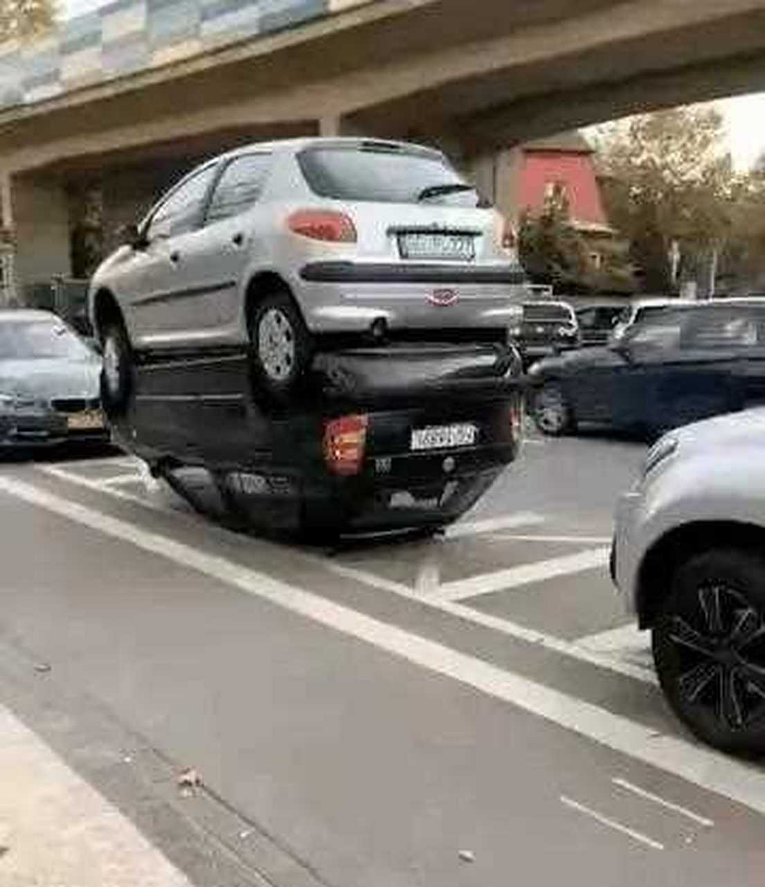 高,实在是高.[黄牌]