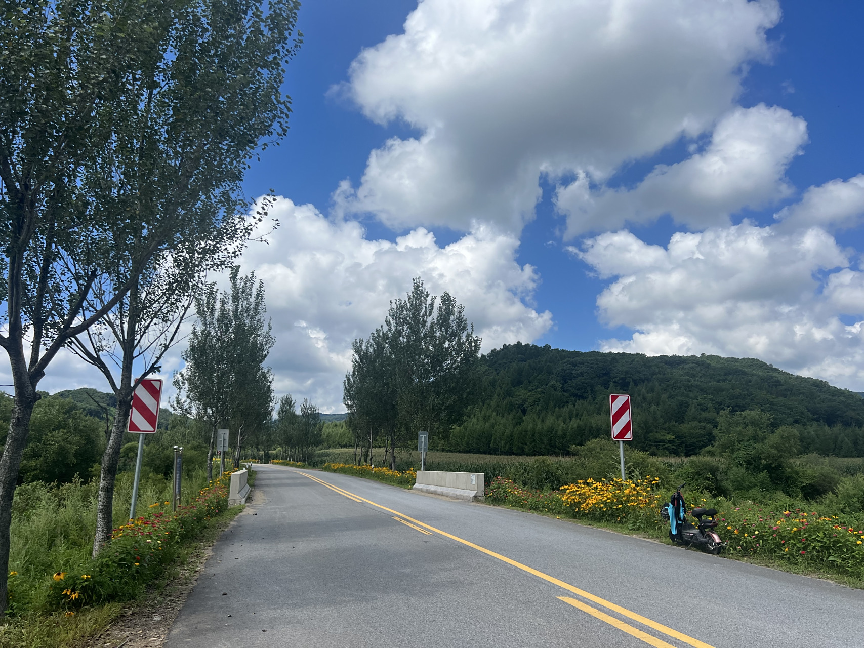 乡村公路景色美 #网红打卡地辽宁杠杠滴##美好辽宁欢迎您# #振兴新