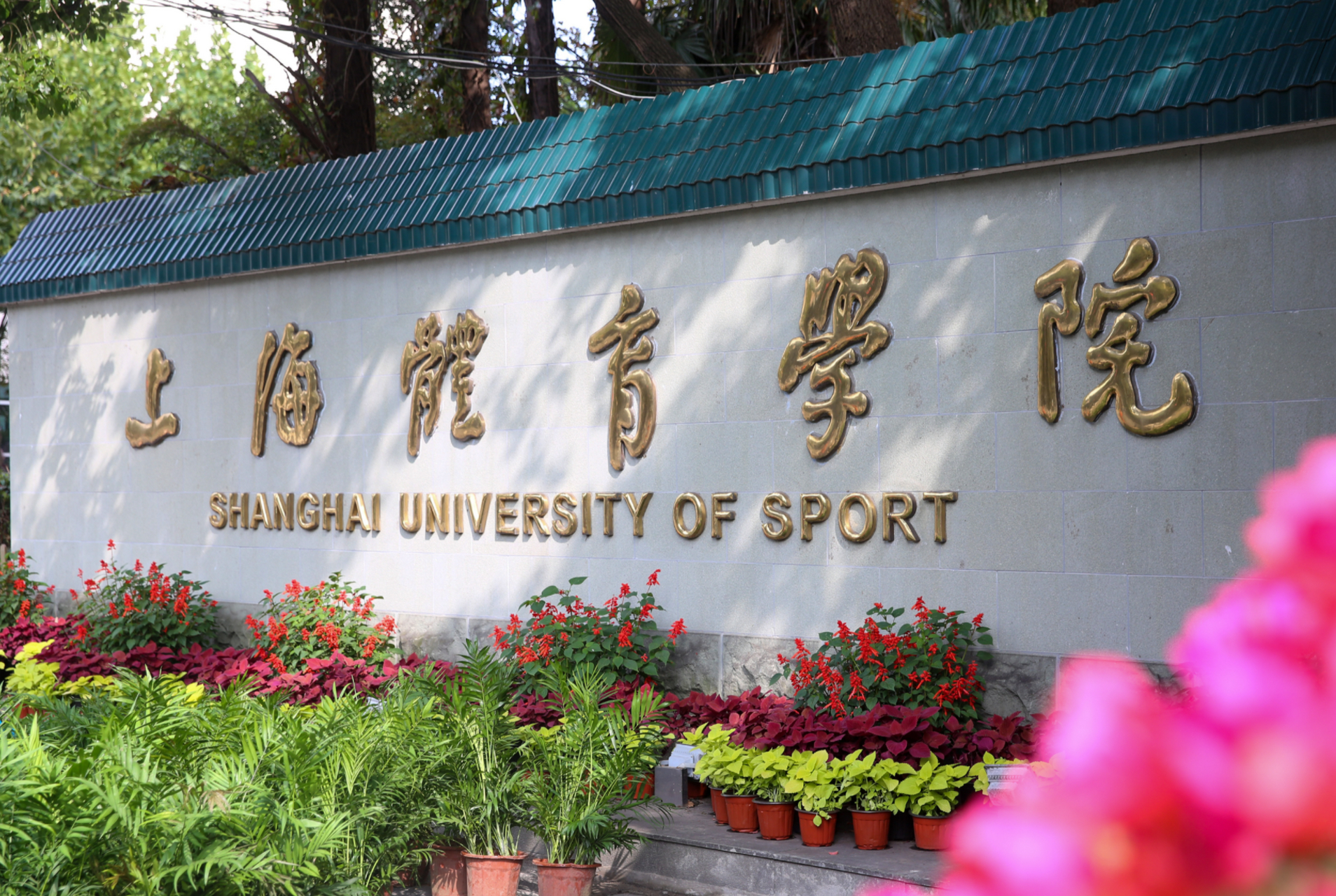 上海体育学院正式更名为上海体育大学# 这也是继北京体育大学之旱第