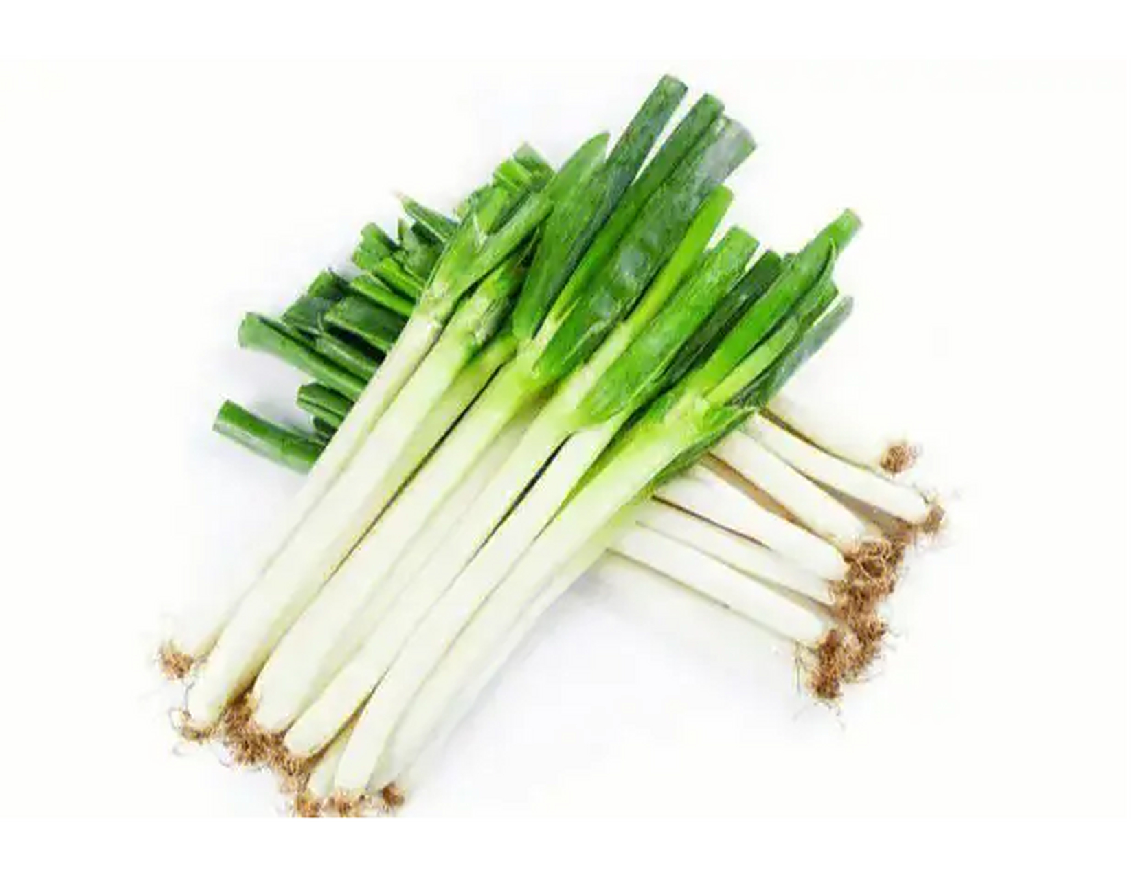 大葱又叫青葱,我们做菜使用的大葱是属于百合科多年生草本植物葱的