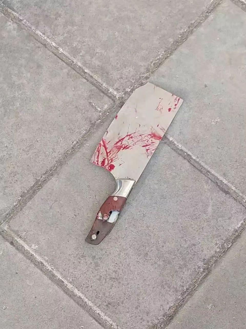 女人有了 刀市 ,比蛇蝎还恶毒.一女子,离婚13年后,砍下前夫的头