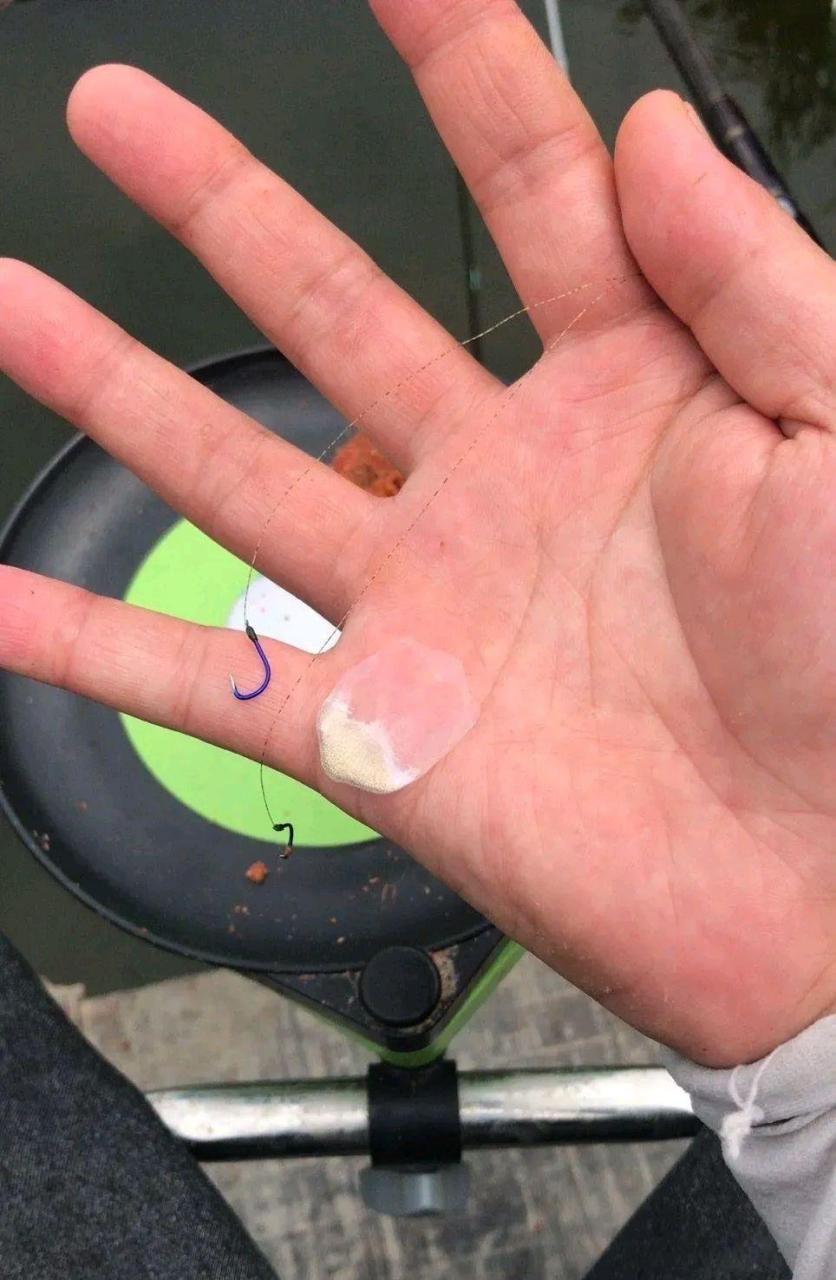 网友:没钓到,钩到这鱼鳞,让我最少二天一夜睡不觉[黑线]