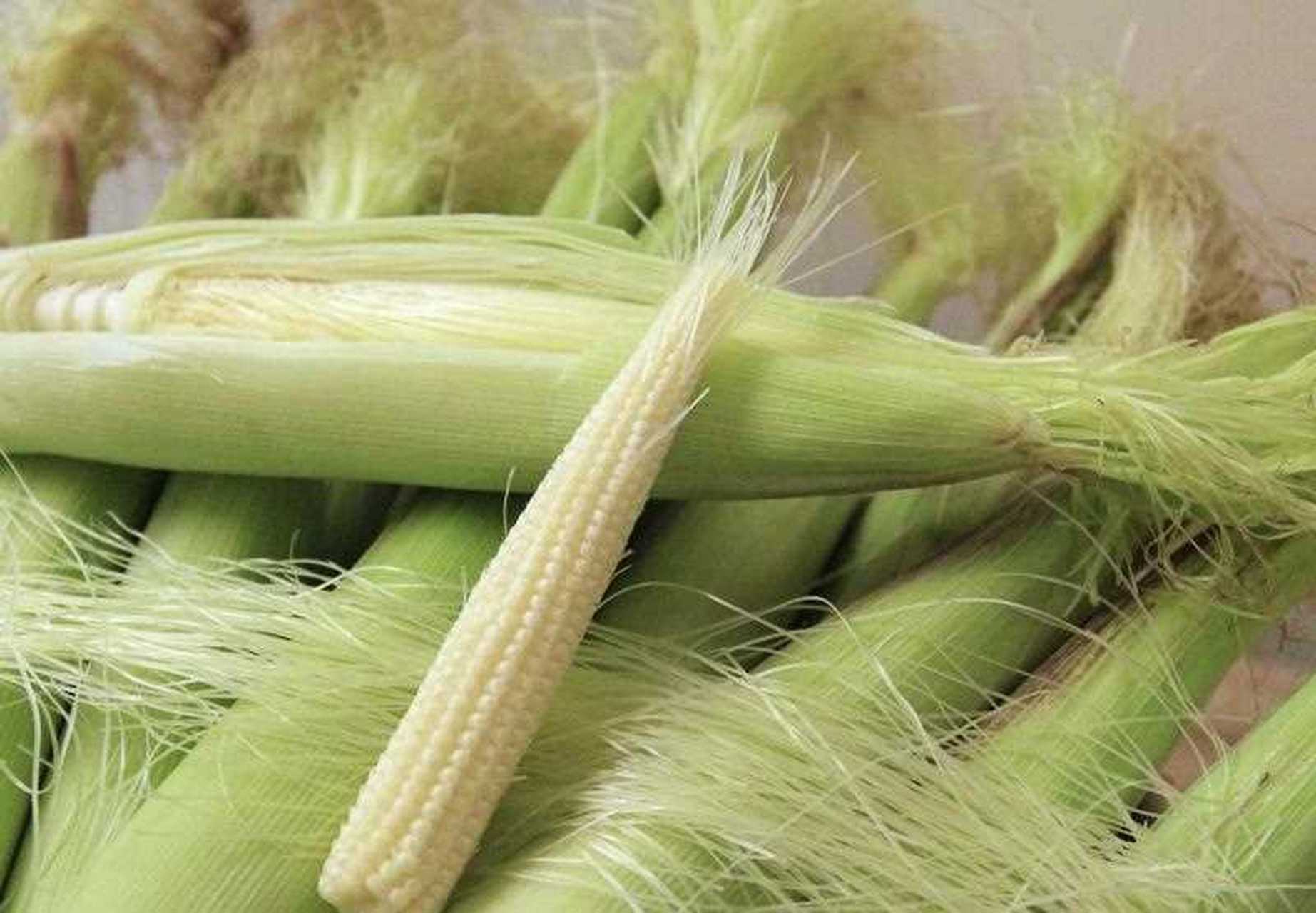 玉米笋 别名珍珠笋,番麦笋 主要季节 1[鼓掌] 挑选方式[汗] 挑玉米笋