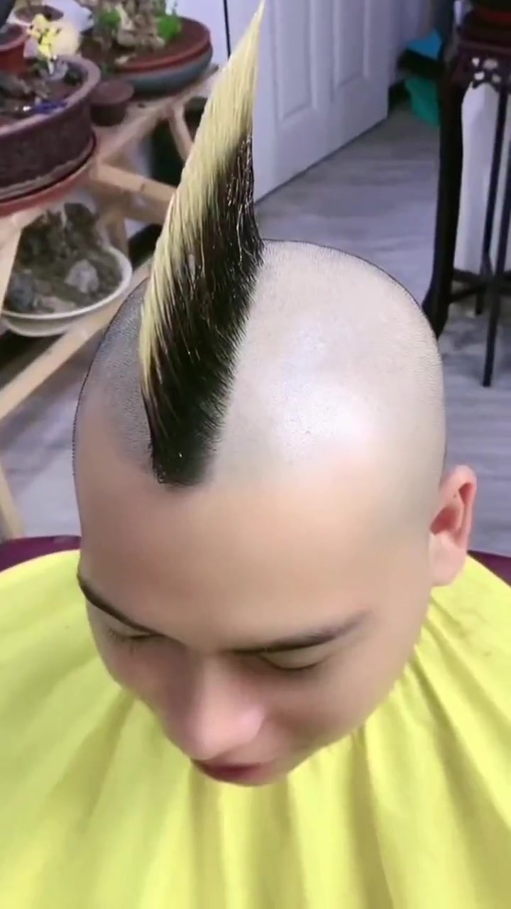 让你眼界大开的搞怪发型 发型师脑洞大开,小小的头发那点天地,被他玩