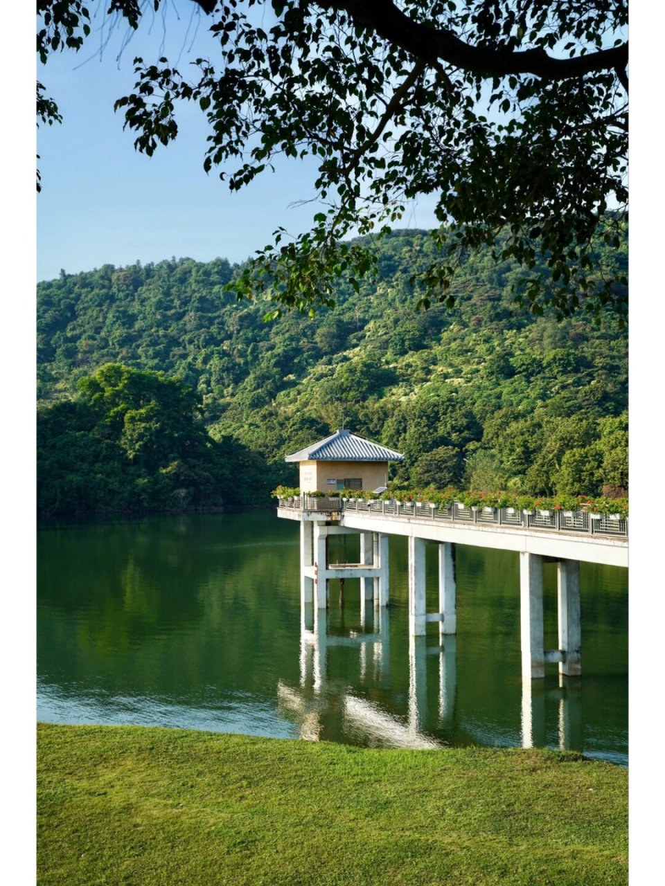 晴天下的水声水库风景美不胜收,绕水库徒步一周仅5公里,柏油平路,被