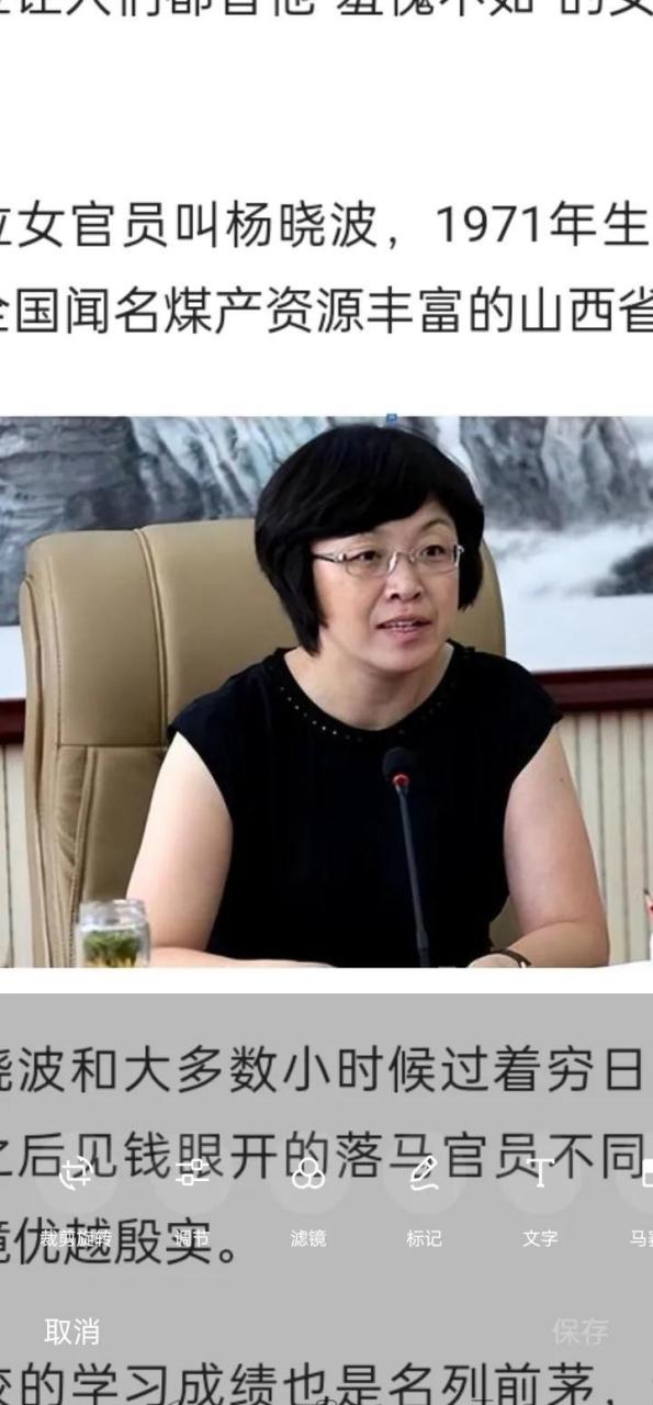 "女色商品化"成女贪官病毒  2014年,山西高平市女市长杨晓波,靠权色