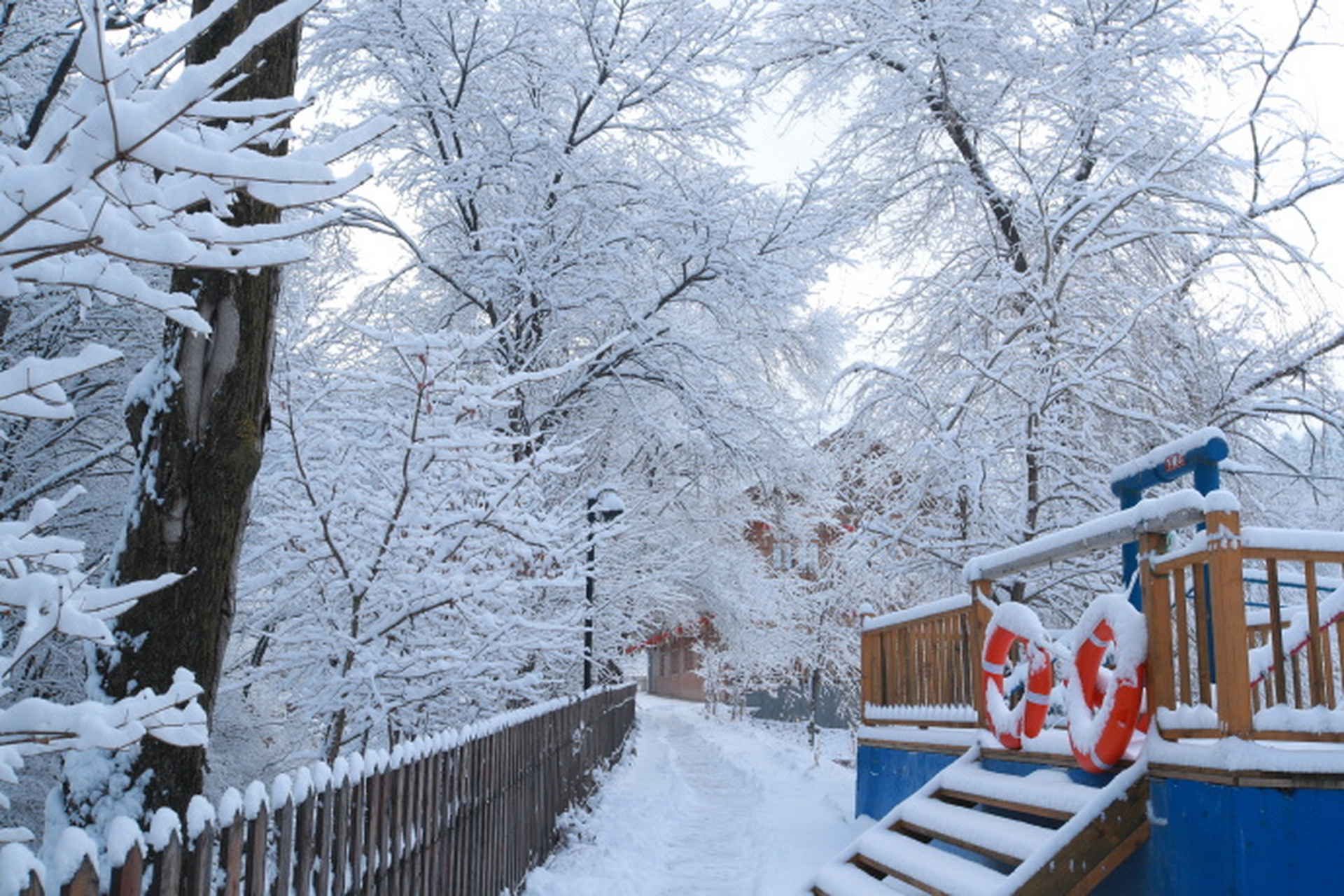 抚顺新宾——参仙谷冬季美景#网红打卡地辽宁杠杠滴# #美好辽宁欢迎您