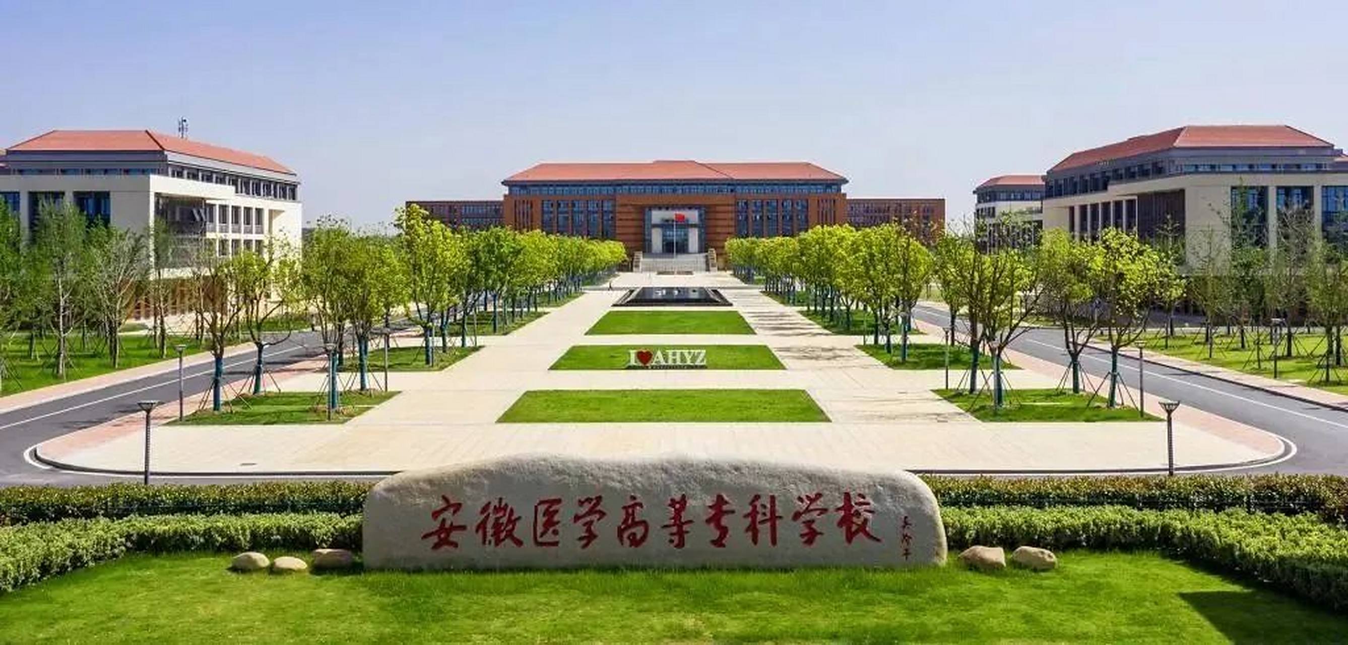 安徽专科学校排名(安徽专科学校排名及分数线)