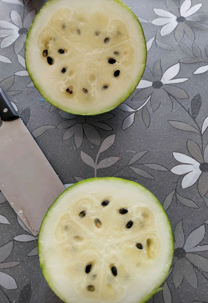 朋友送来的,这是黄瓤西瓜呢,还是没熟呢