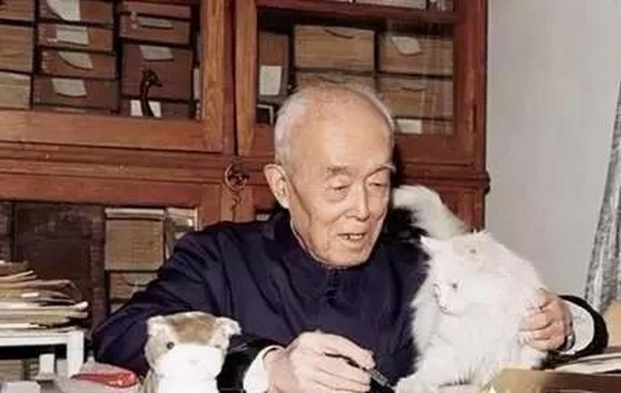 爱猫成痴的季羡林,大约在1978年,他开始养猫