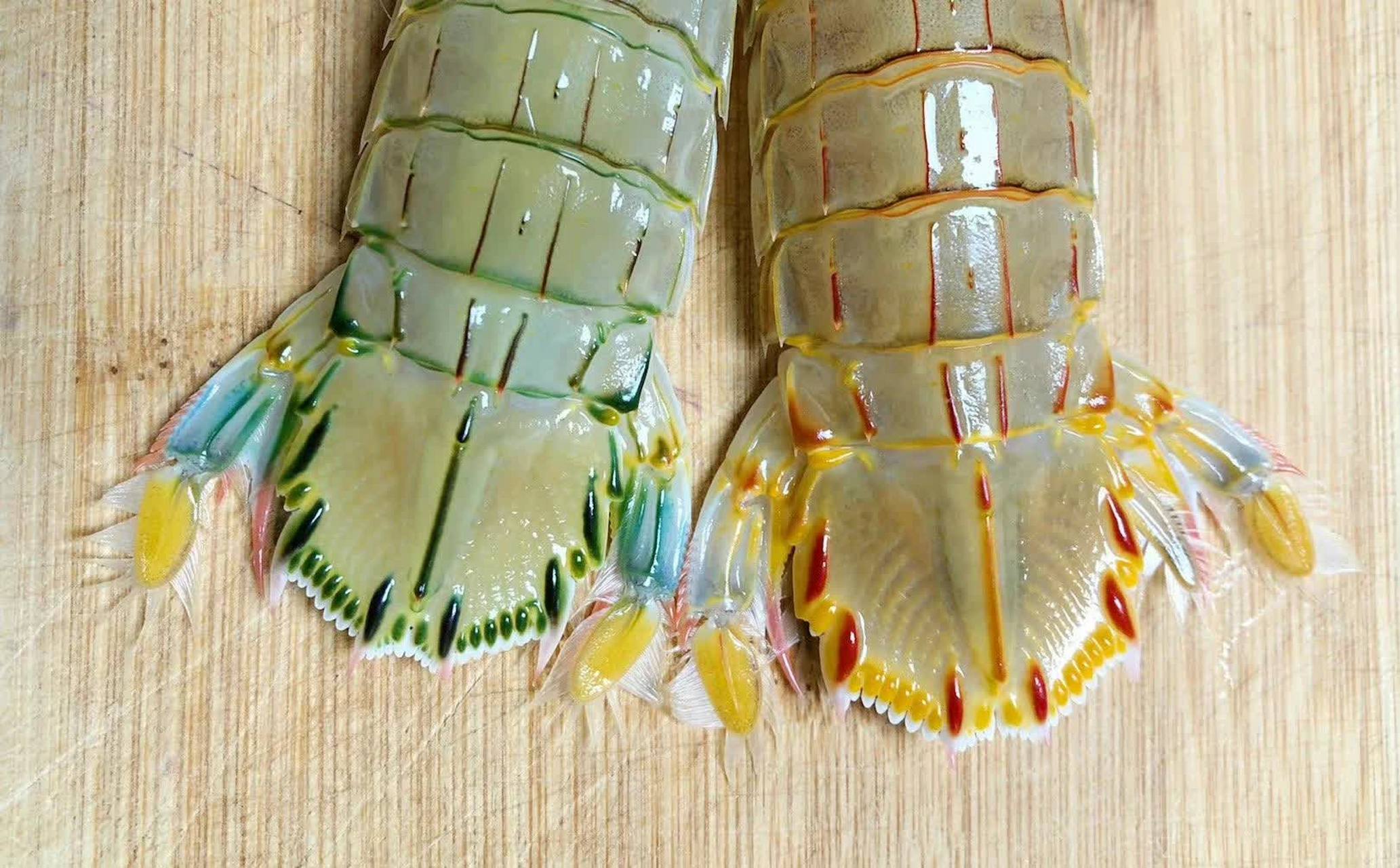 这时我才发现,皮皮虾也有彩色花纹.[笑哭][三哈][坏笑]