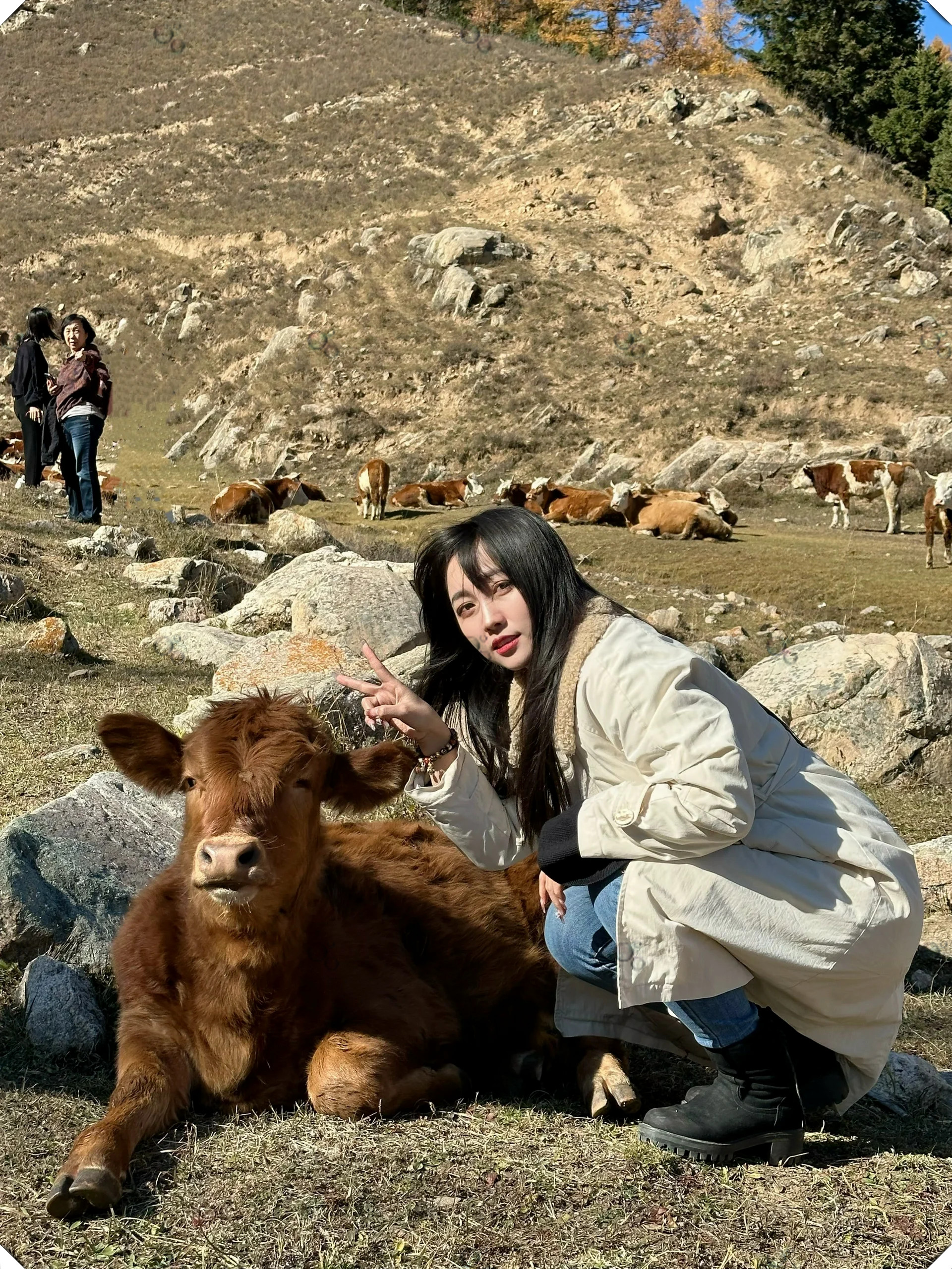 还有人未曾踏足芦芽山吗?这里真是太美了