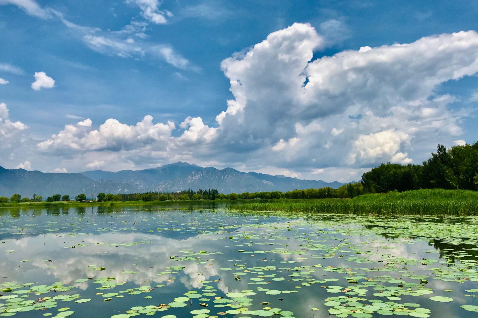 云南的野鸭湖湿地:这个地方因常年栖息着野鸭而得名
