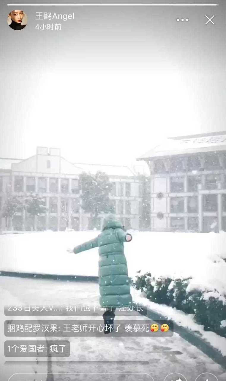 王鷗偶遇下雪,就喜歡你這種沒見過世面的萌呆模樣.[暈]