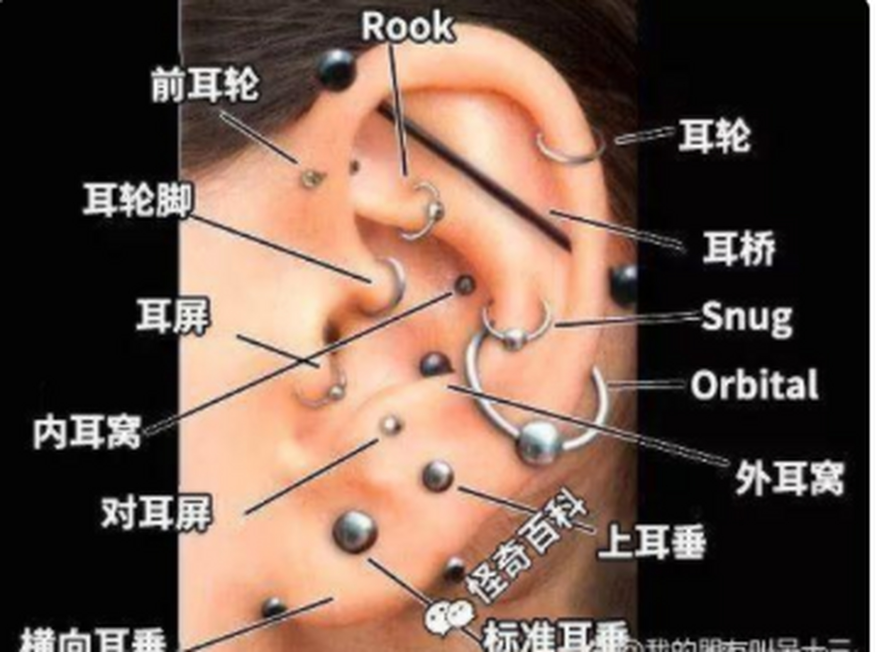 不同耳洞的位置叫什么?