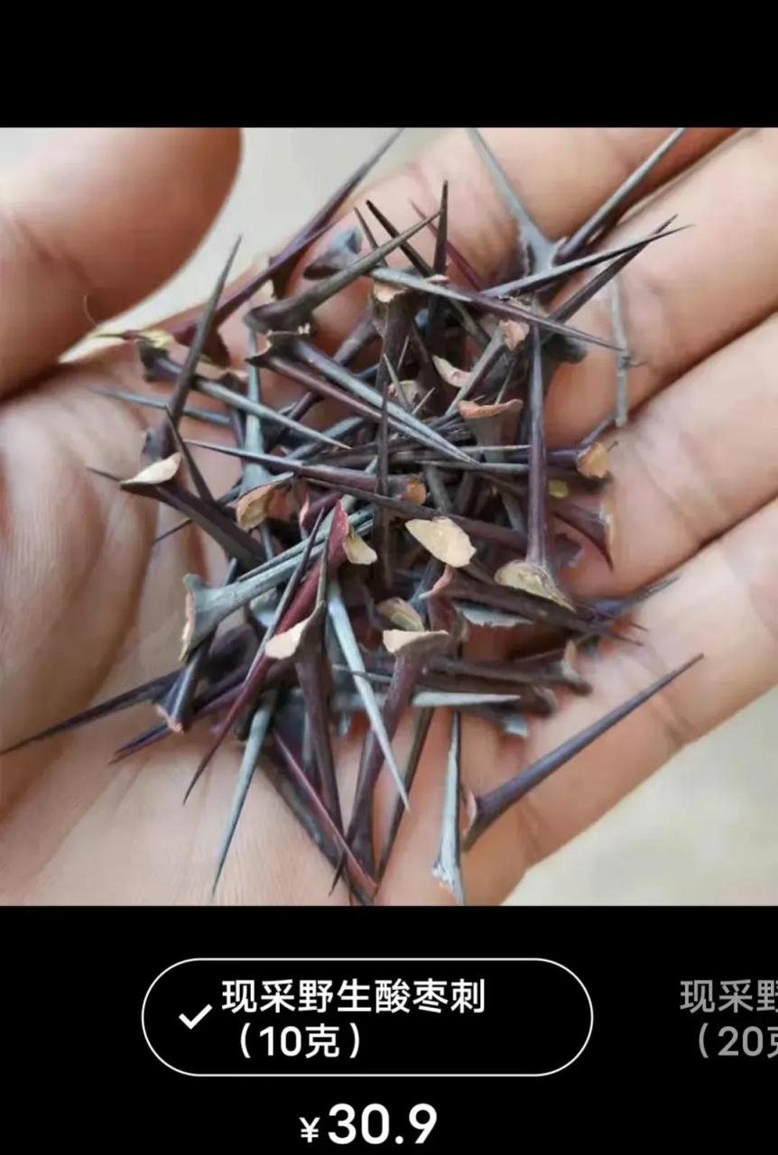 领动计划# 酸枣刺这么值钱吗?这东西不到处都是