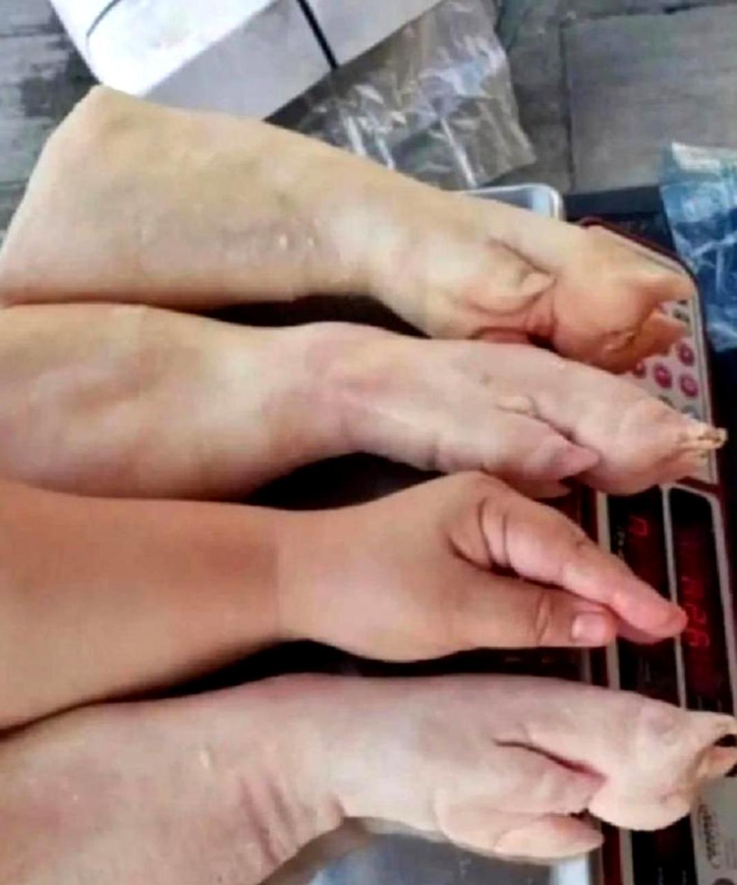 请帮我挑选一只猪蹄子,我要去超市购买