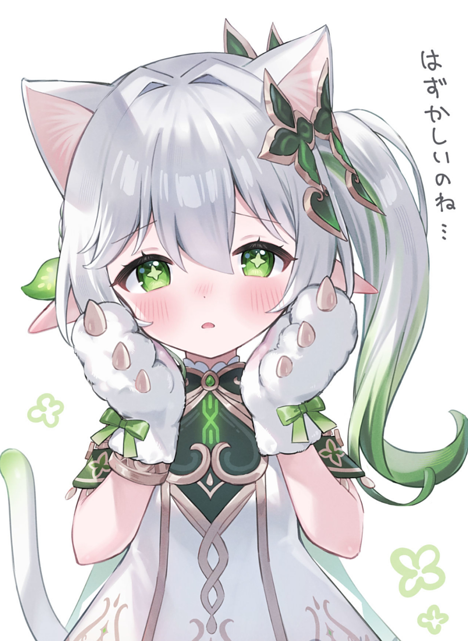 以兴趣为中心戴上猫耳比想象中还要害羞的纳西妲#原神