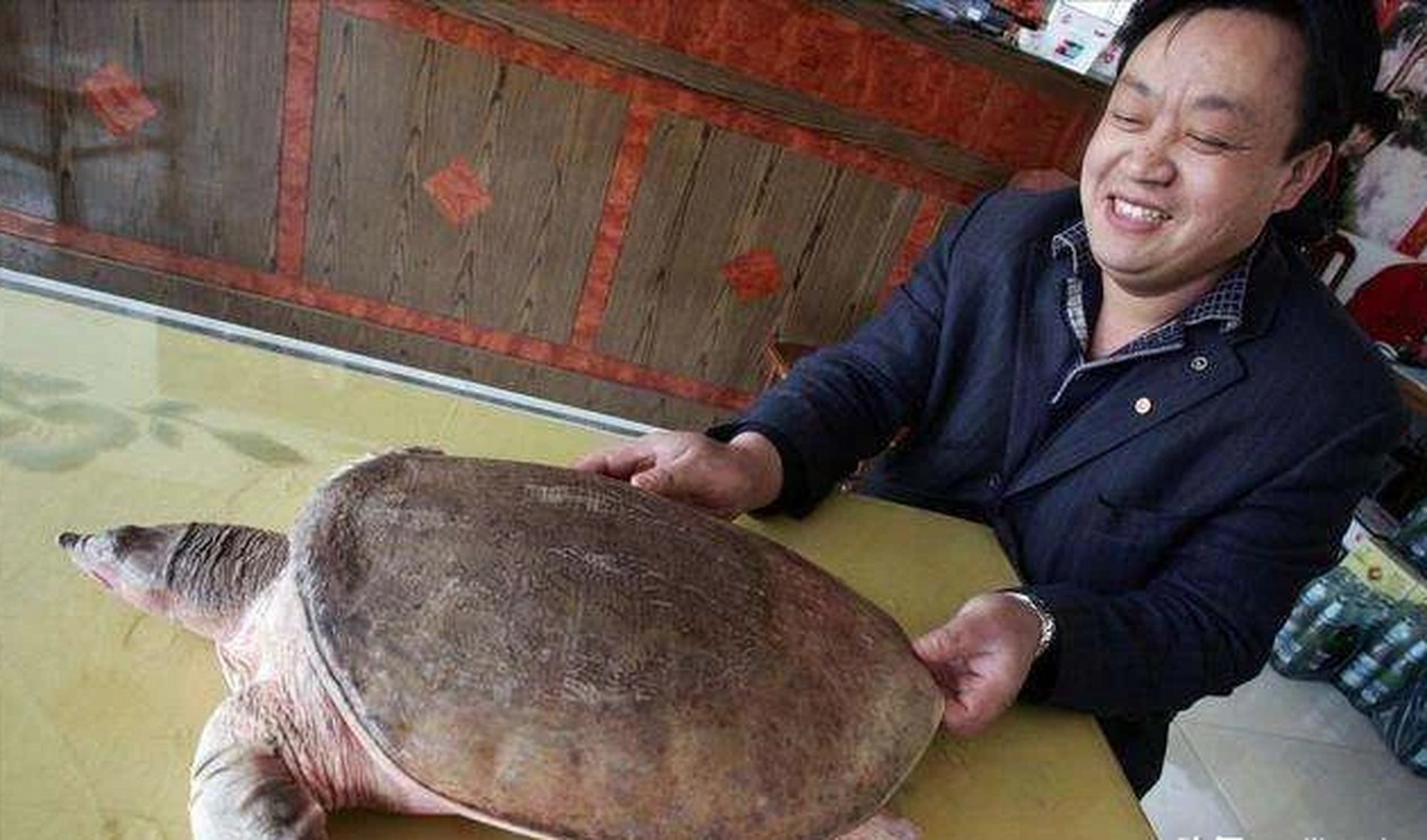 2021年,南阳村民发现一只重达46斤的百年巨鳖,富商出价两万元购买